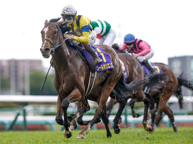 Sol Oriens won 2023 G1 Satsuki Sho (Japanese 2000 Guineas) (Photo: Yuki Shimono)