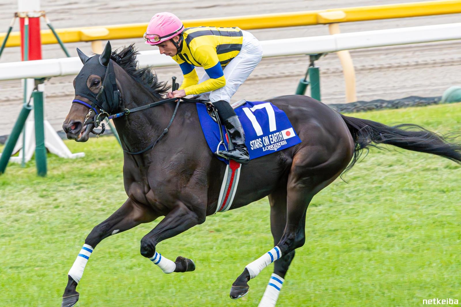 Stars on Earth in G1 Japan Cup