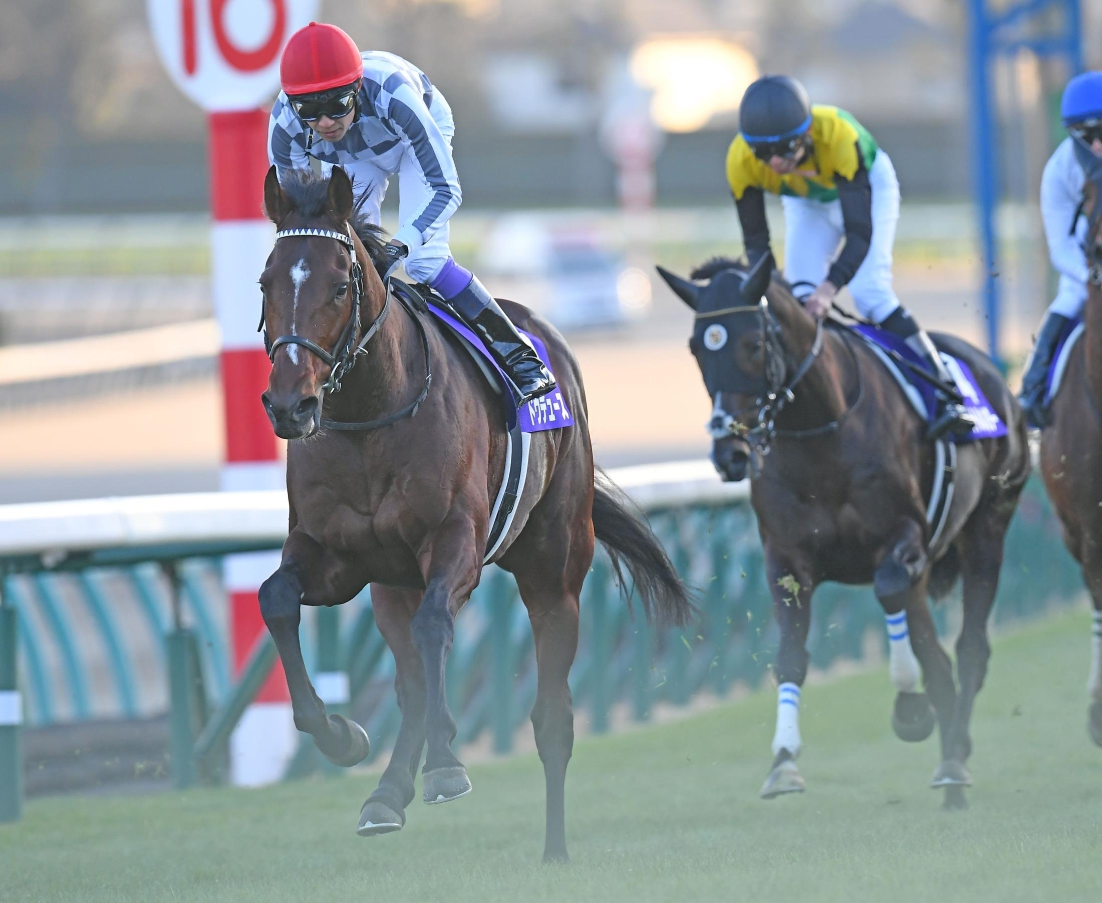 2024 Japanese G1 Races Schedule & Results Horse Racing Library