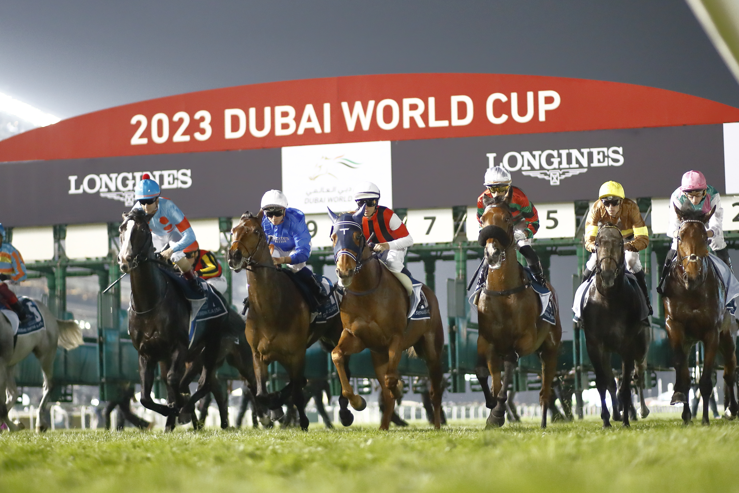 Introduction to the Dubai Sheema Classic 2024 Horse Racing