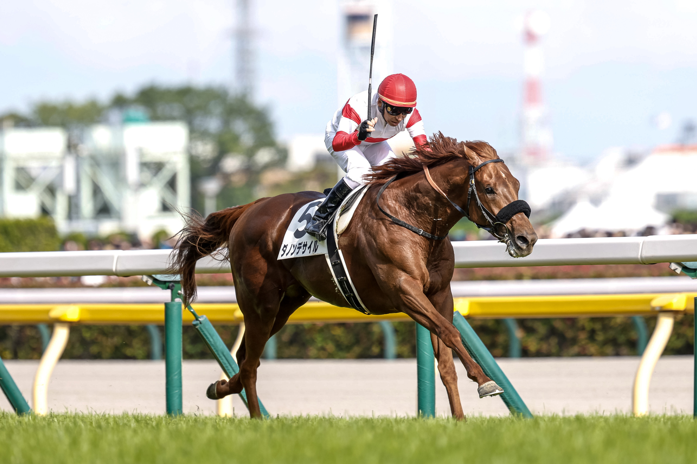 TOKYO YUSHUN (JAPANESE DERBY) Past Winners: List of Previous Tokyo Yushun (Japanese Derby) (G1) Winners