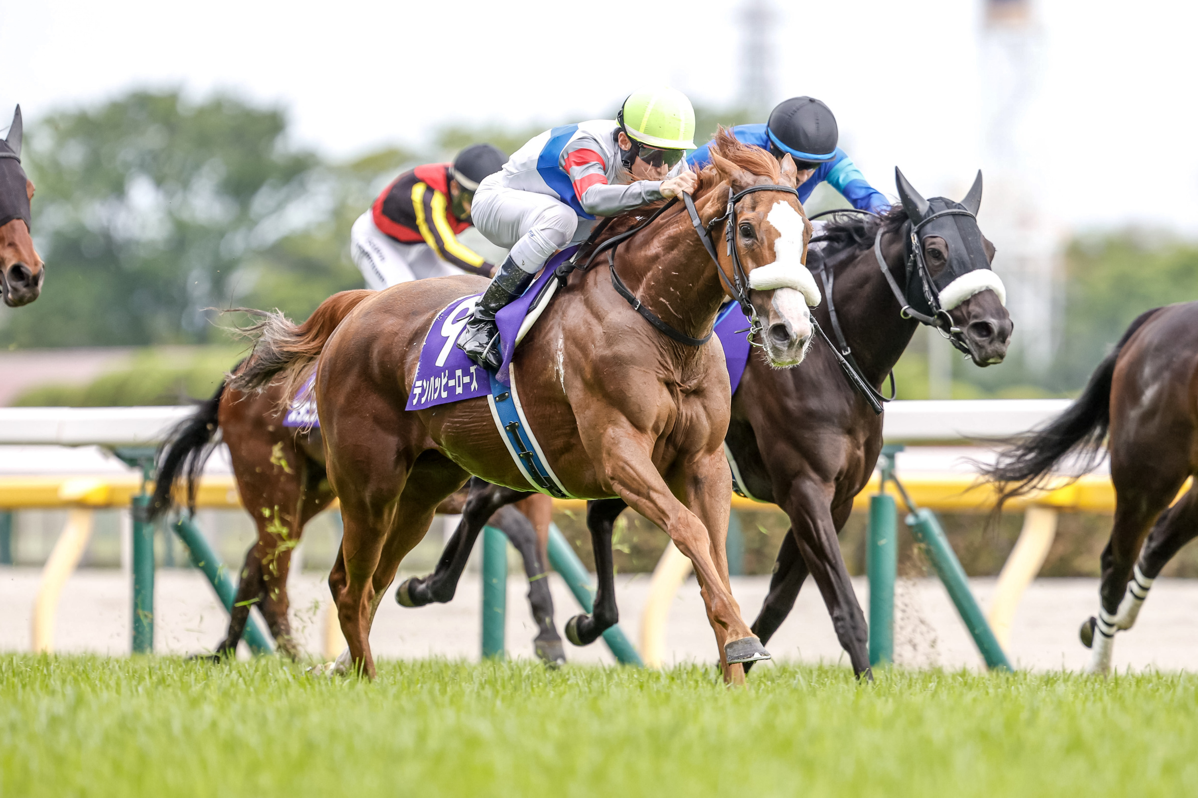 Ten Happy Rose wins the Victoria Mile 2024. (Photo: netkeiba)