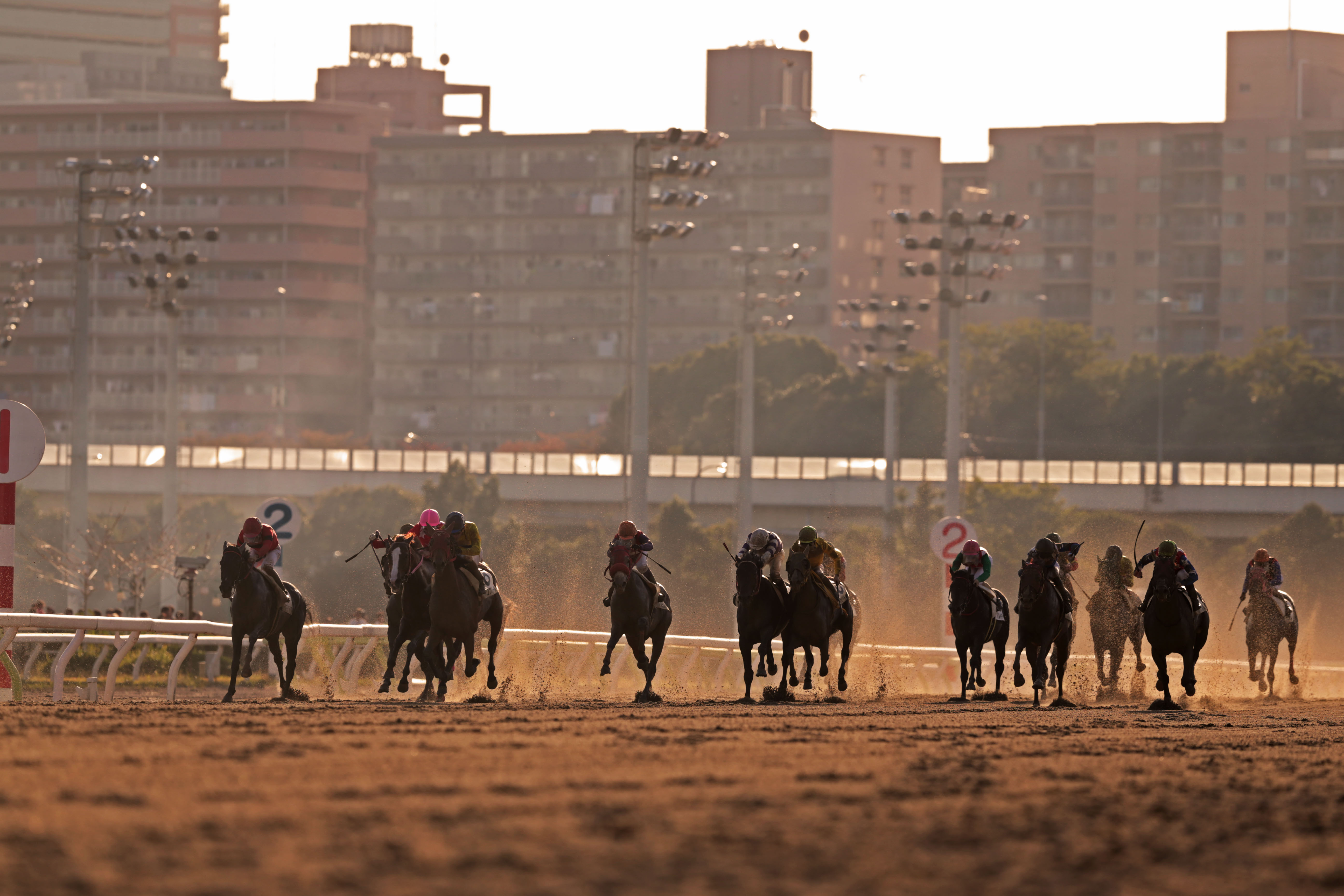 Understanding National Association of Racing: Organizers, Locations of NAR Regional Racecourses, and Differences Between Japan Racing Association and NAR