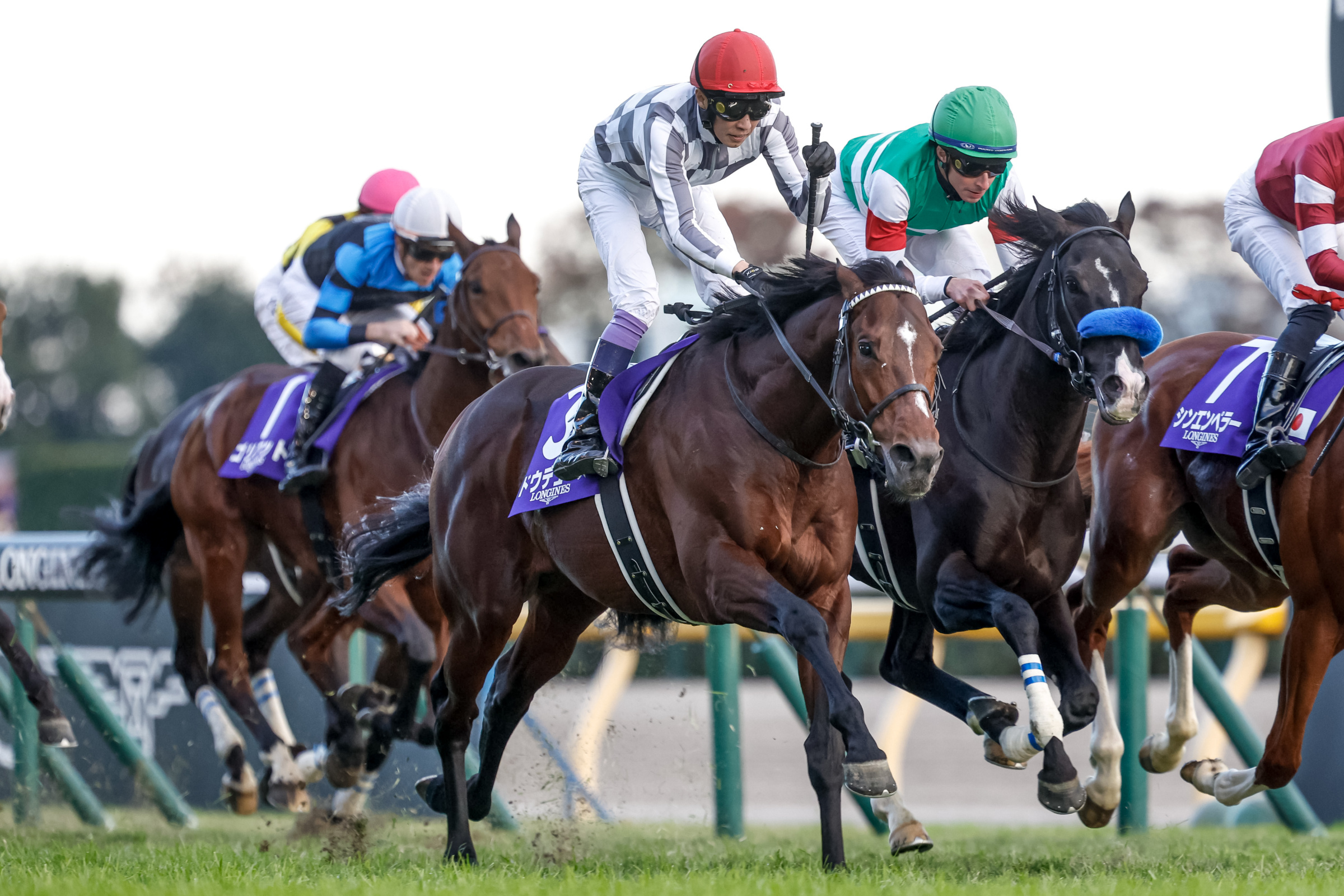 JAPAN CUP Past Winners: List of Previous Japan Cup (G1) Winners