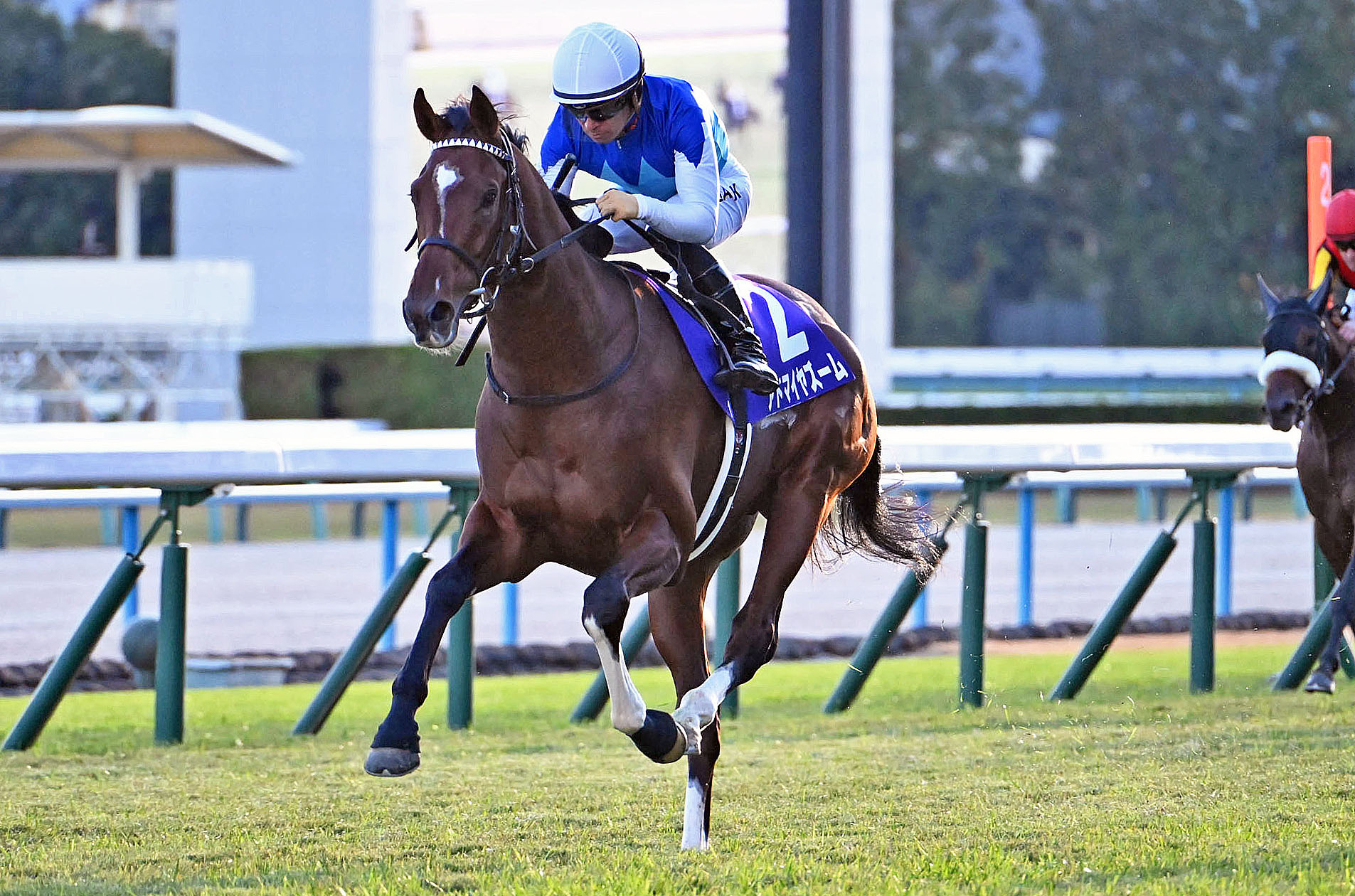 ASAHI HAI FUTURITY STAKES Past Winners: List of Previous Asahi Hai Futurity Stakes (G1) Winners