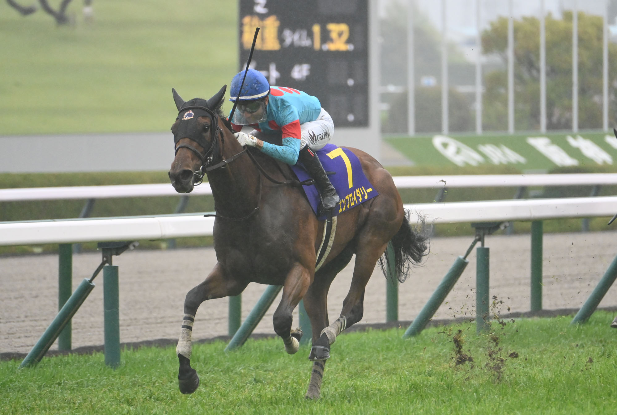 JAPANESE OAKS 2025: Latest News, Entries, Notable Runners, Race ...
