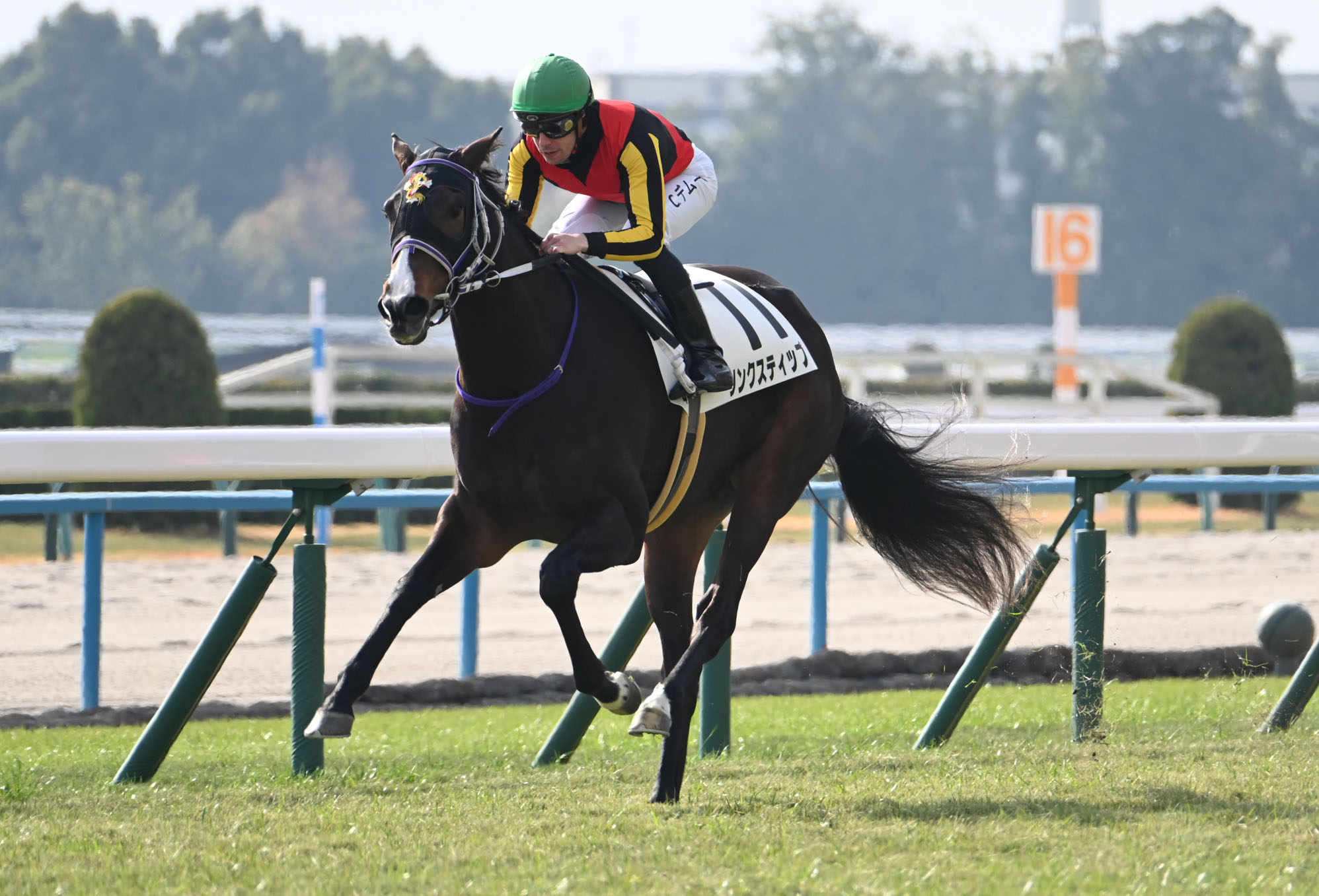 JAPANESE OAKS 2025: Latest News, Entries, Notable Runners, Race ...