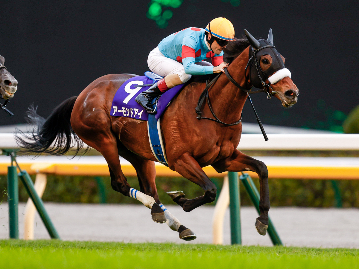 JRA Hall of Fame: List of JRA Hall of Fame inductees. Almond Eye has been selected as the 35th Hall of Fame inductee