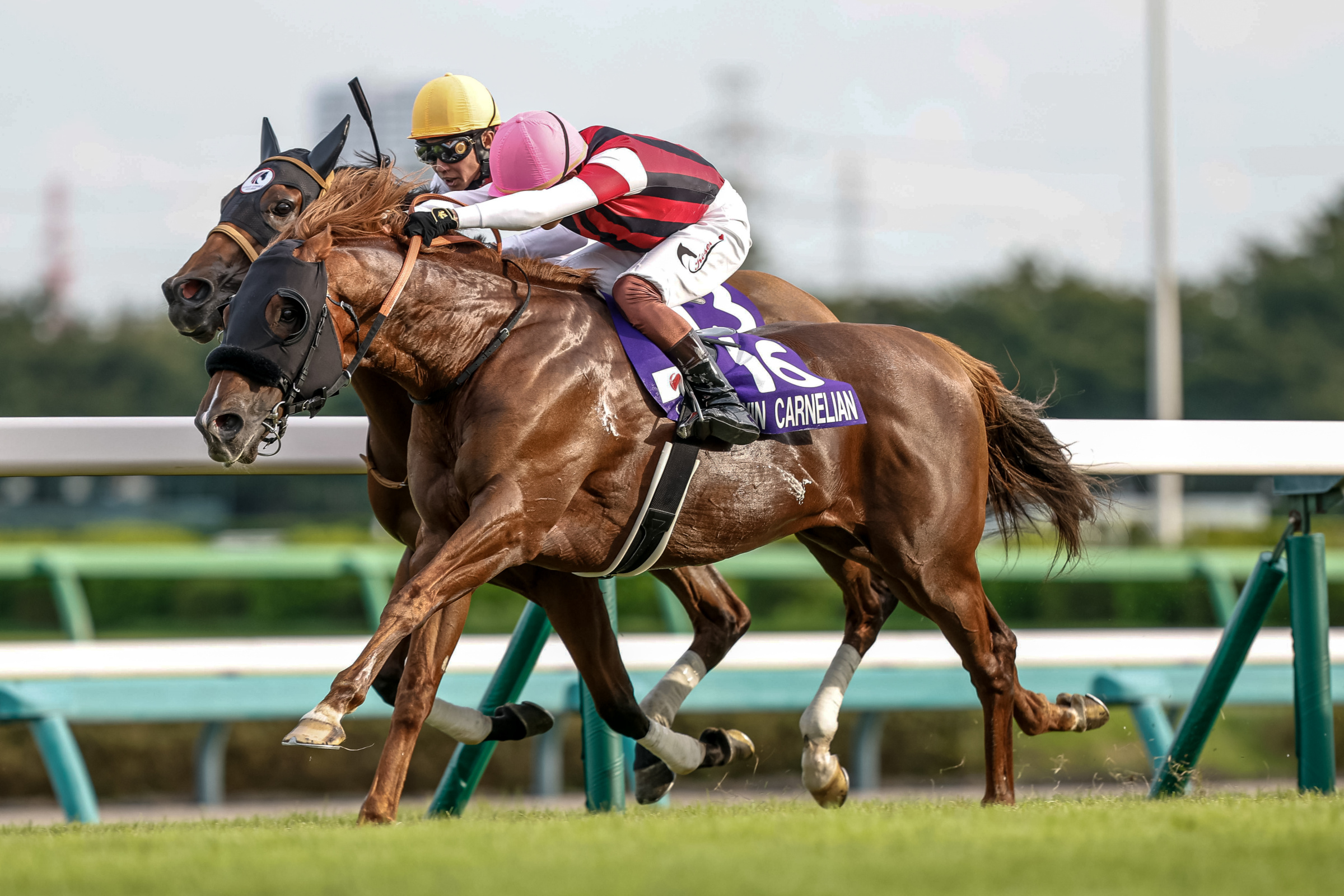 SPRINTERS STAKES Past Winners: List of Previous Sprinters Stakes (G1) Winners