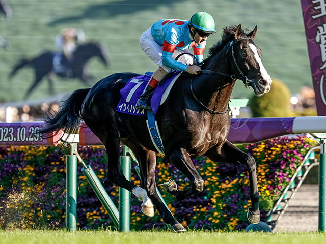 TENNO SHO (Autumn) Past Winners: List of Previous Tenno Sho (Autumn) (G1) Winners