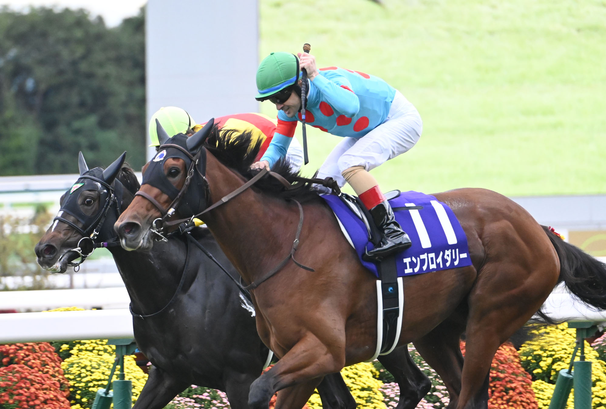 SHUKA SHO Past Winners: List of Previous Shuka Sho (G1) Winners
