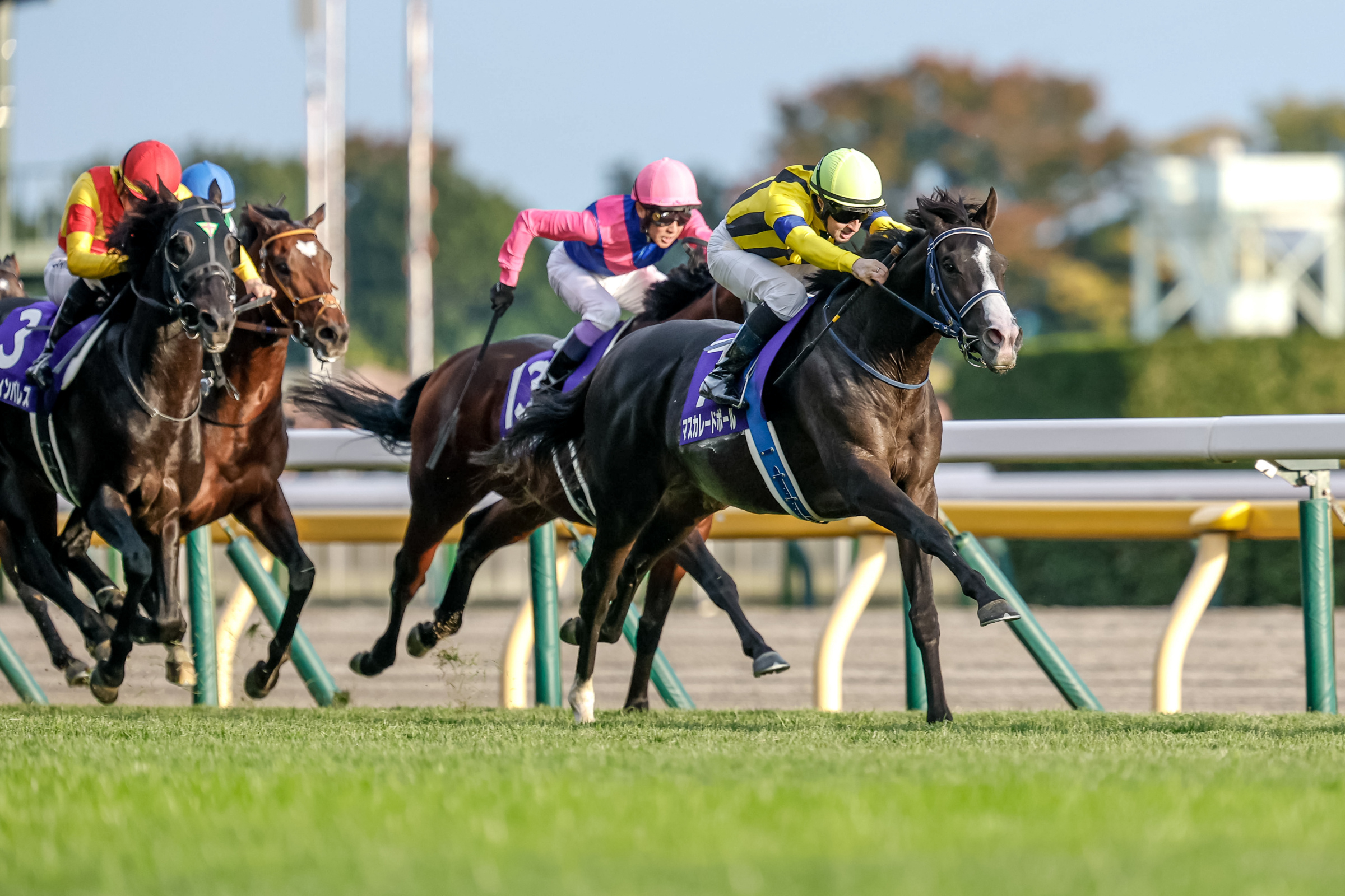 2025 Japanese G1 Races Schedule & Results