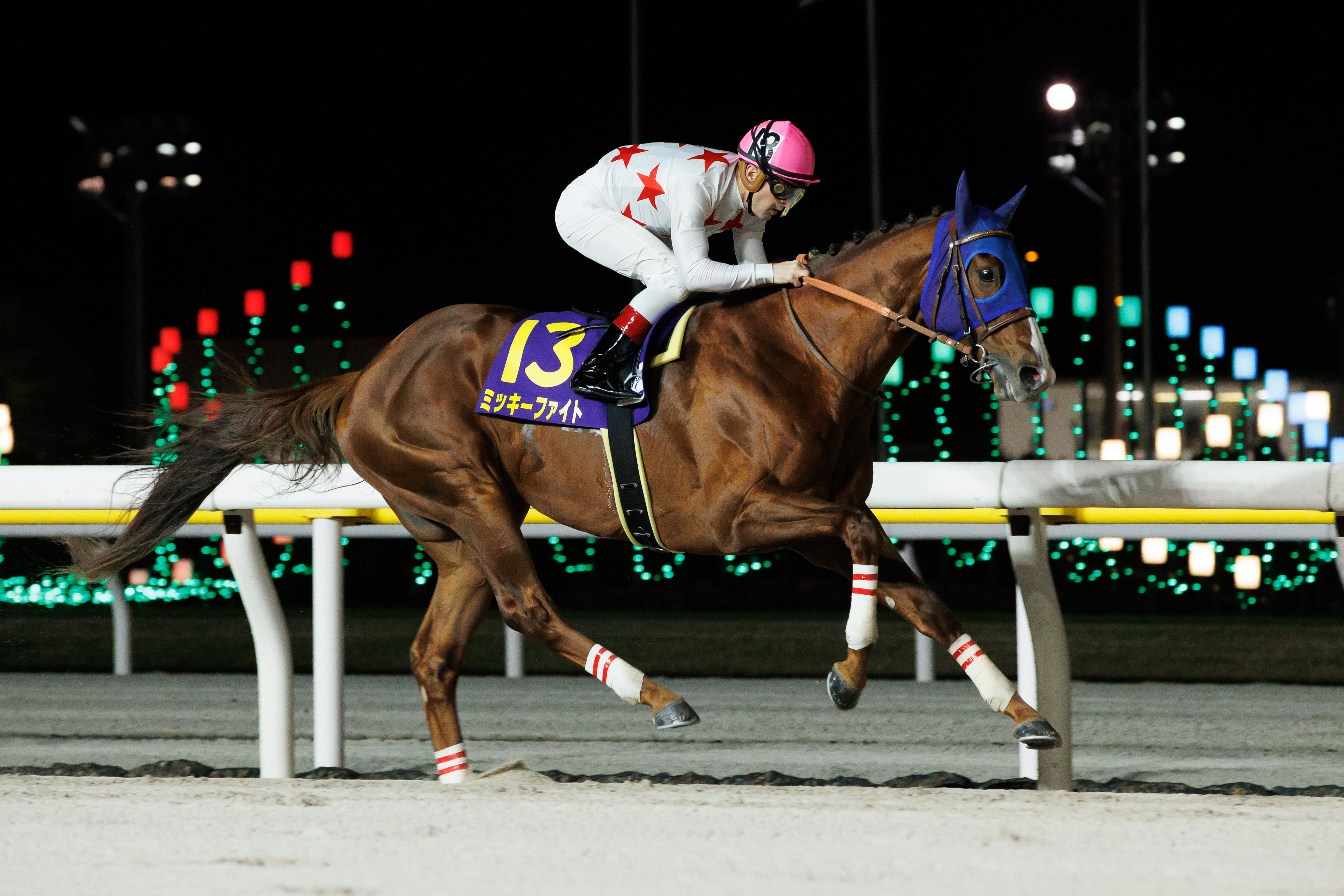 2025 List of Dirt Graded Stakes and Races in JRA and NAR