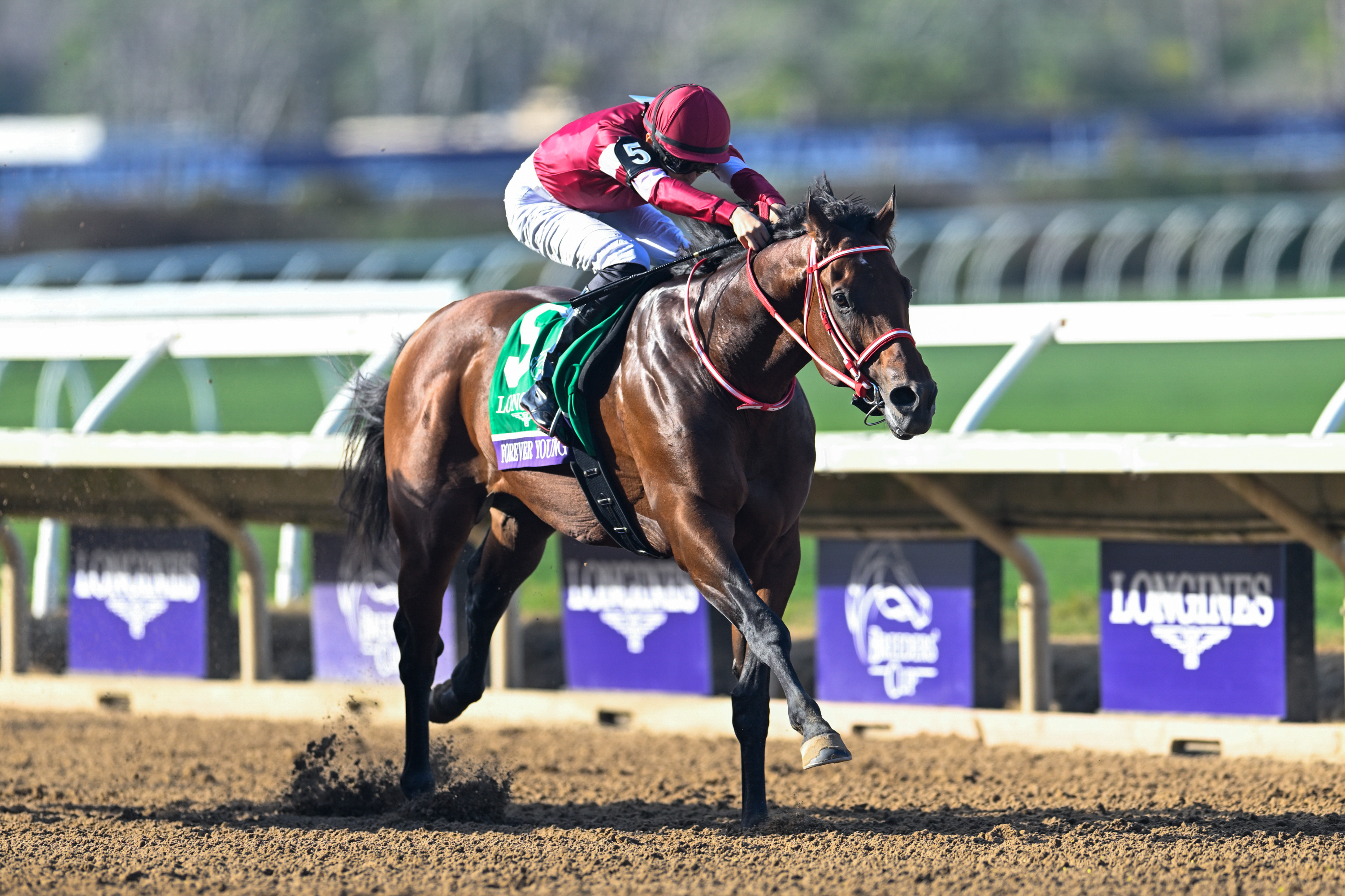 2025 Overseas Expedition Records of Japanese Horses