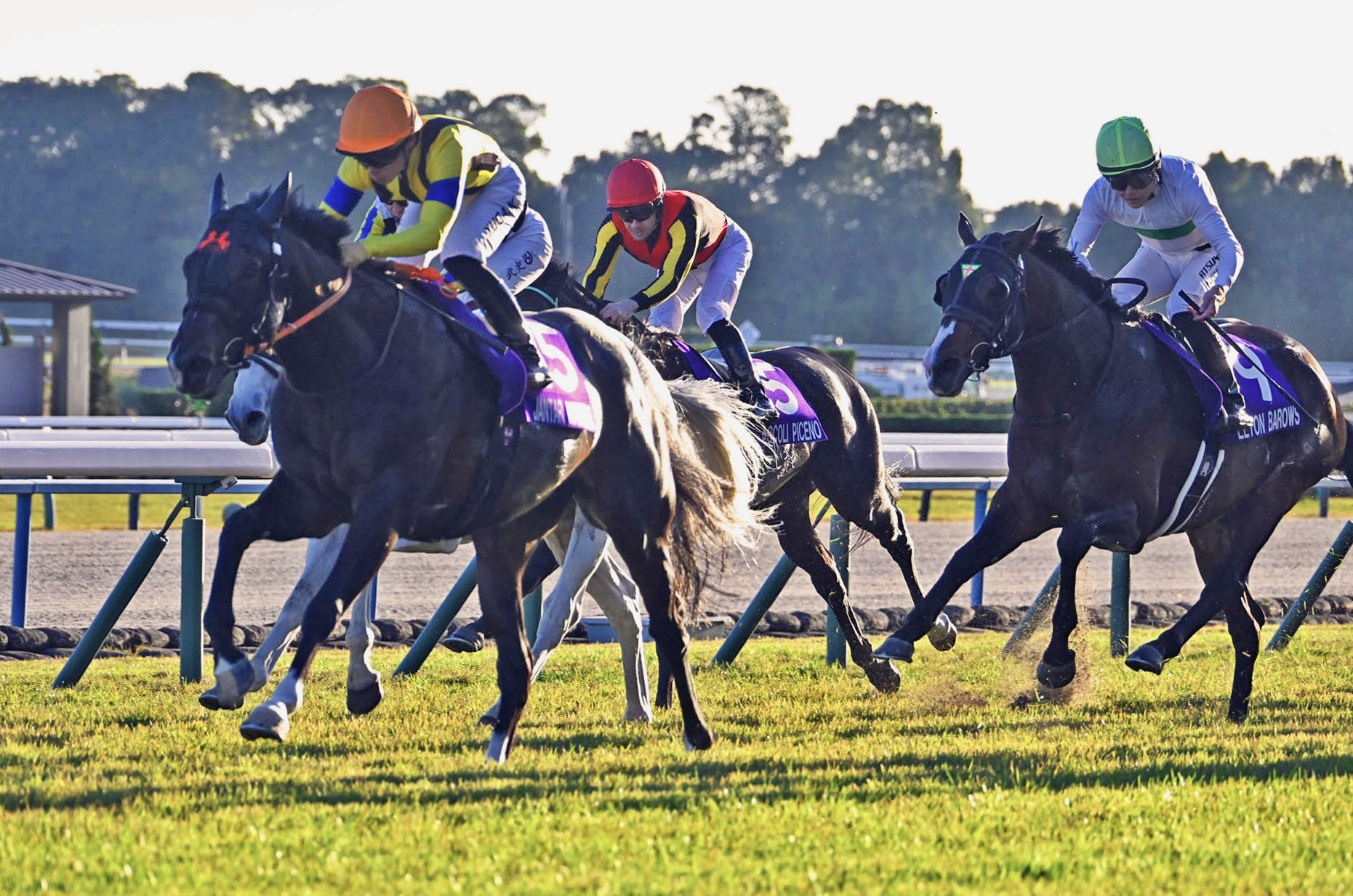 MILE CHAMPIONSHIP Past Winners: List of Previous Mile Championship (G1) Winners