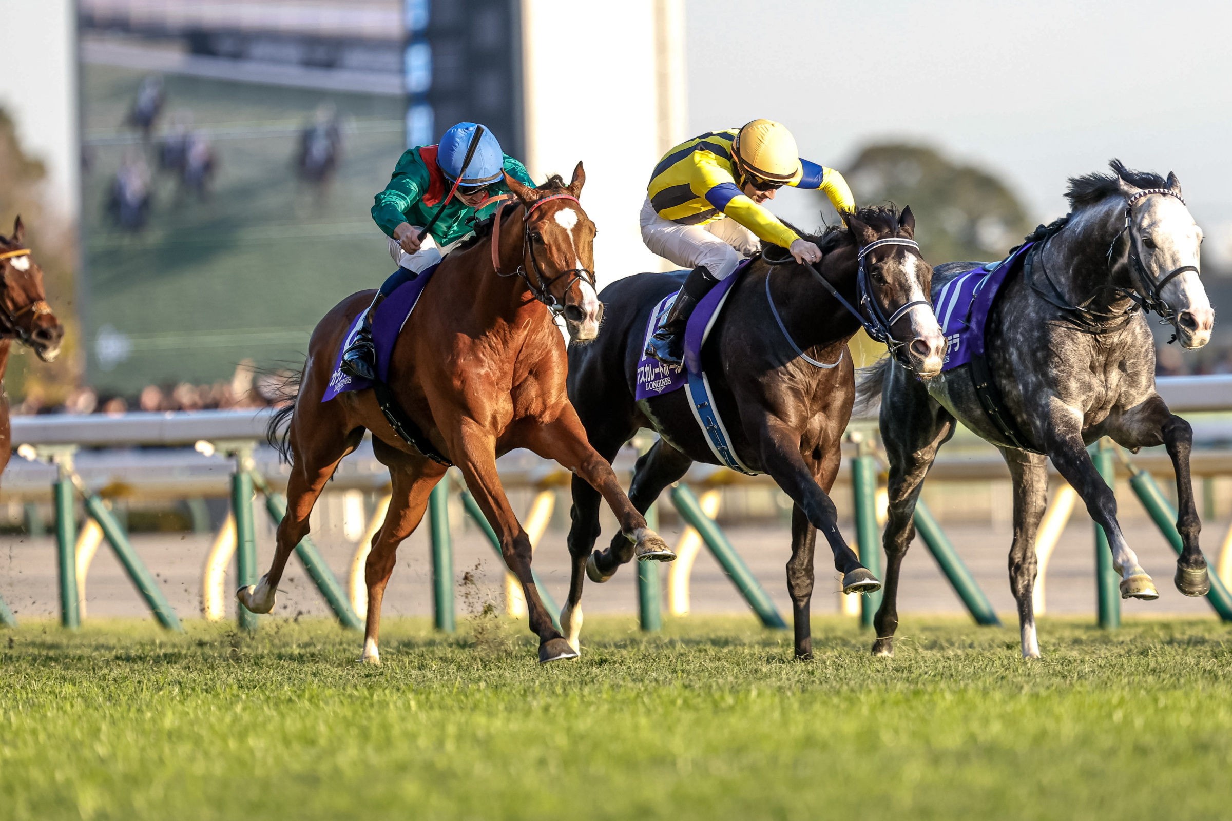 JAPAN CUP Past Winners: List of Previous Japan Cup (G1) Winners