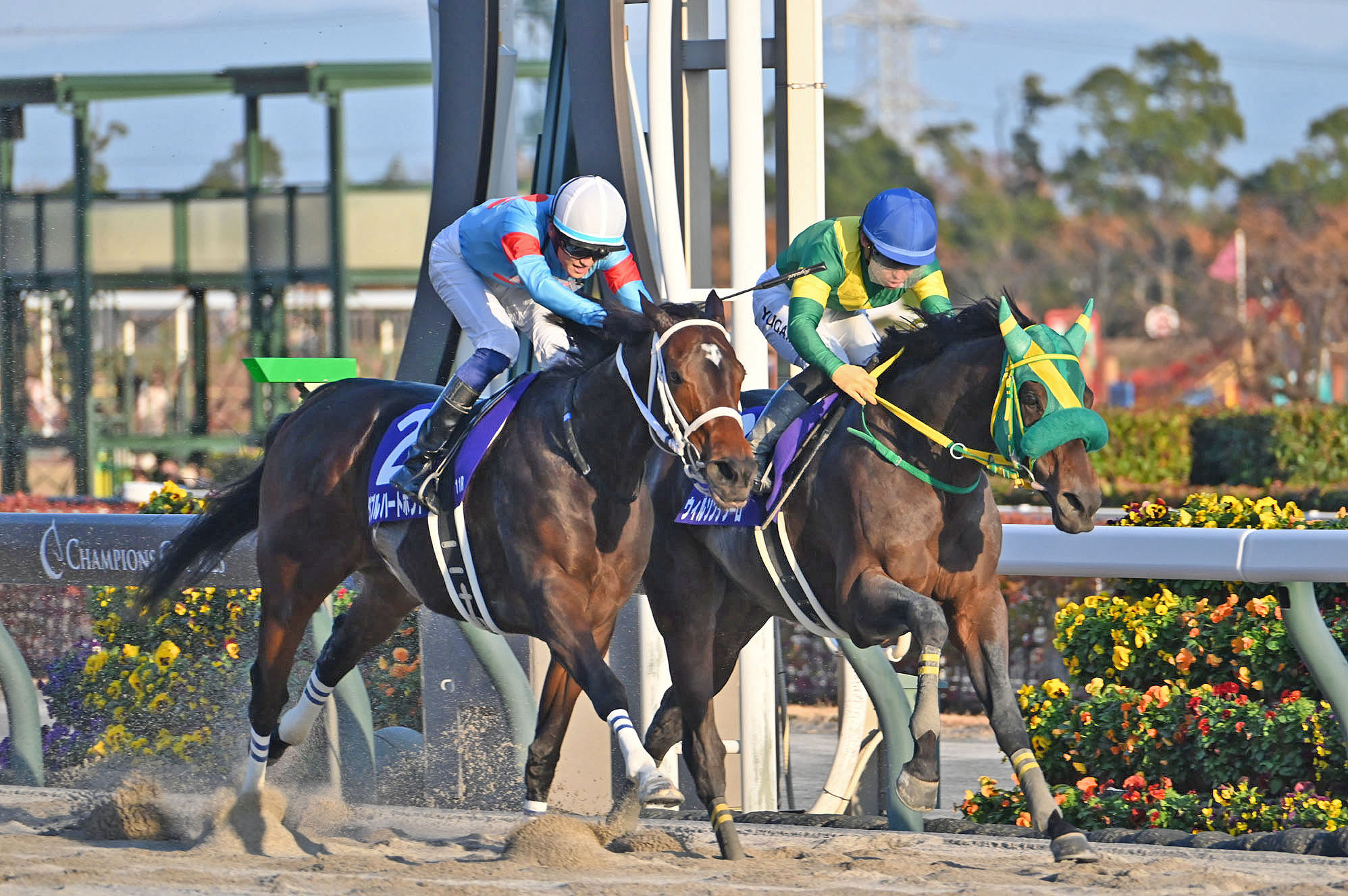 CHAMPIONS CUP Past Winners: List of Previous Champions Cup (G1) Winners