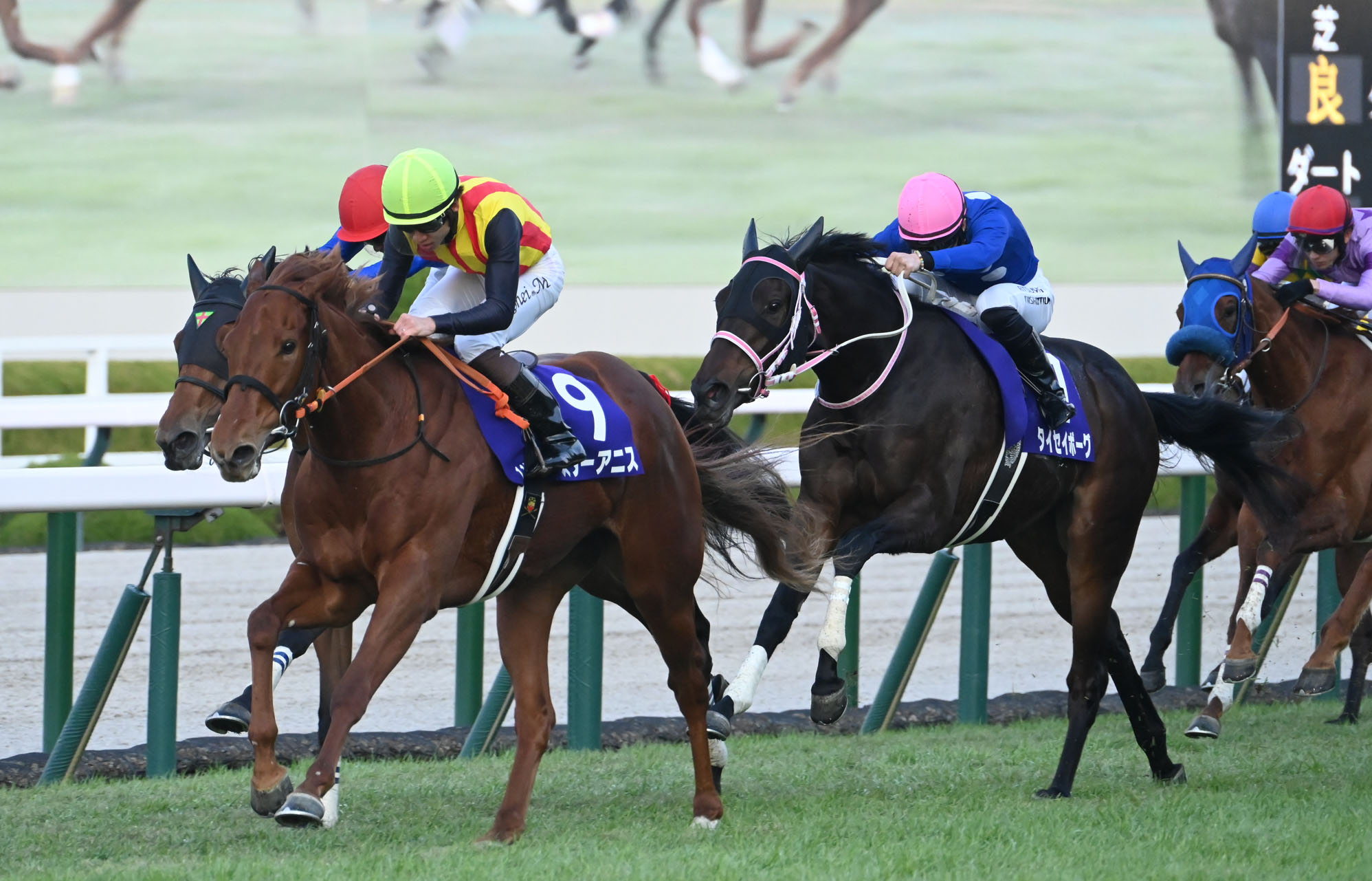HANSHIN JUVENILE FILLIES Past Winners: List of Previous Hanshin Juvenile Fillies (G1) Winners