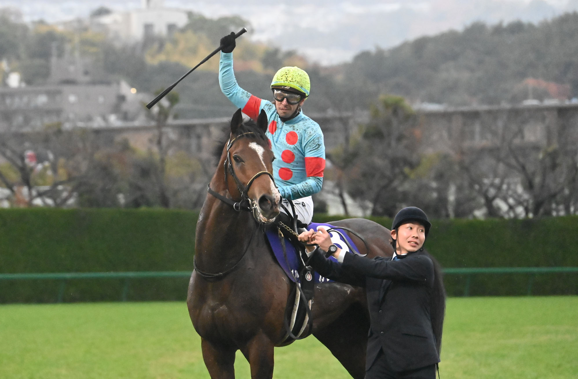 2025 Japanese G1 Races Schedule & Results