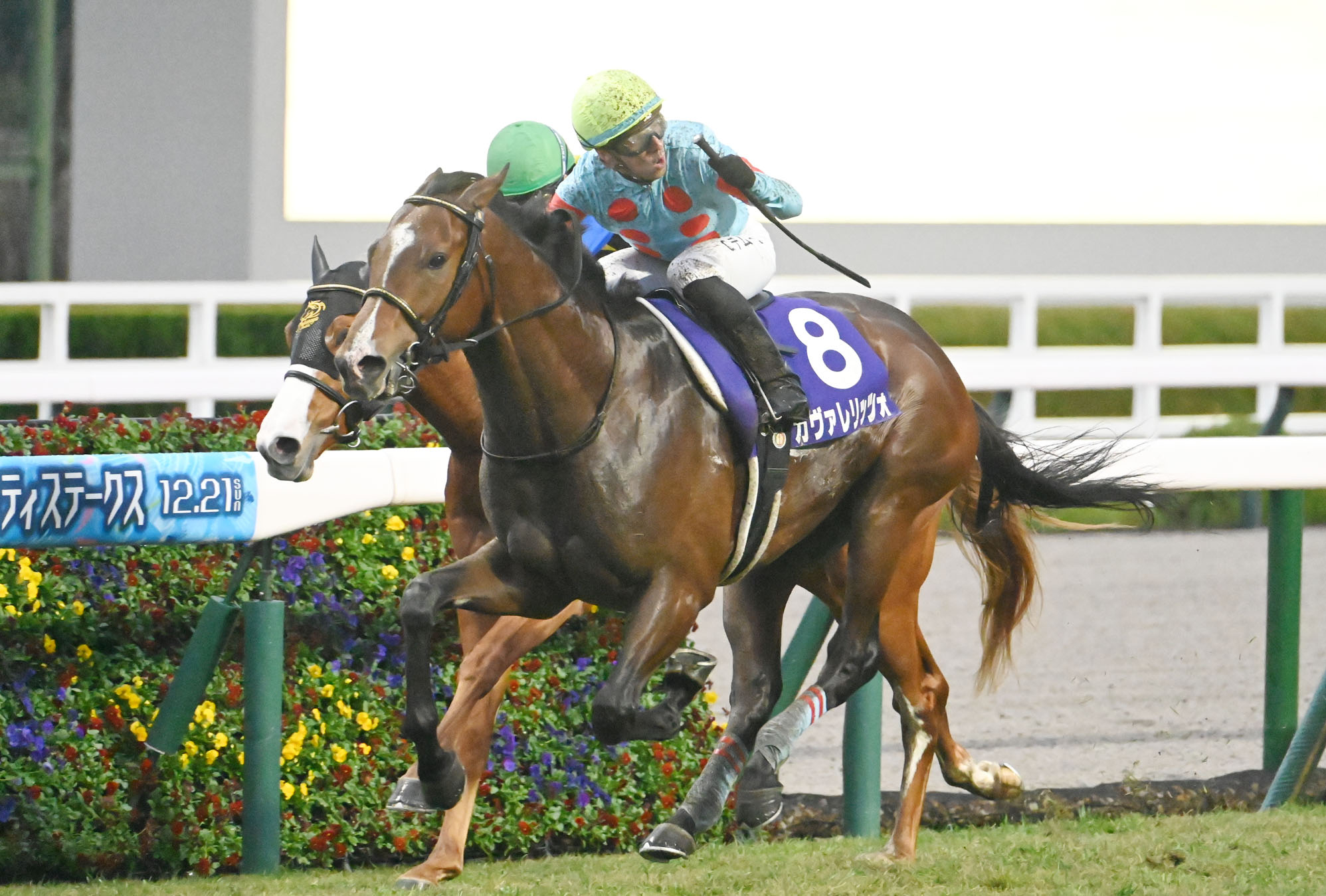 ASAHI HAI FUTURITY STAKES Past Winners: List of Previous Asahi Hai Futurity Stakes (G1) Winners