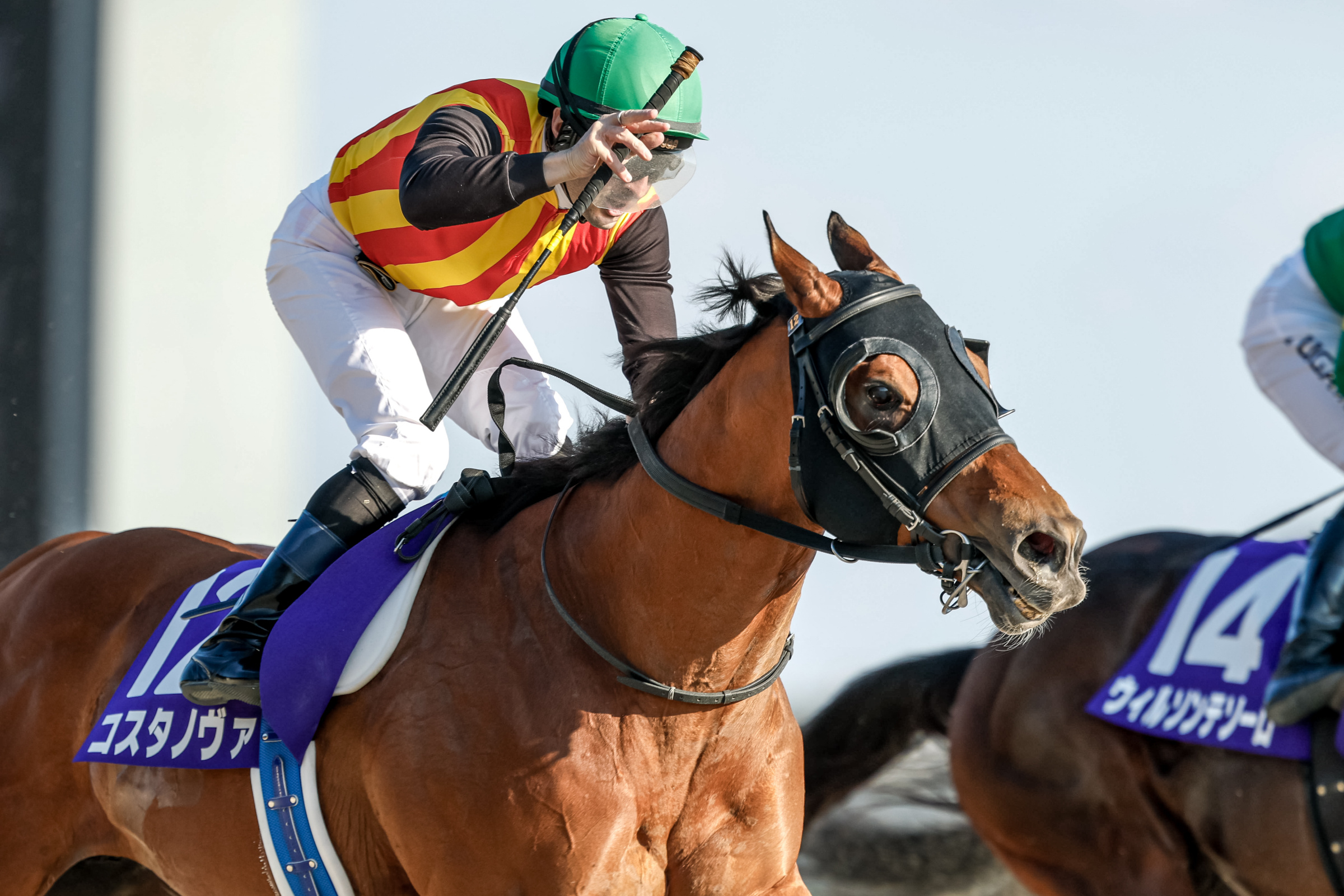 2026 Japanese G1 Races Schedule & Results