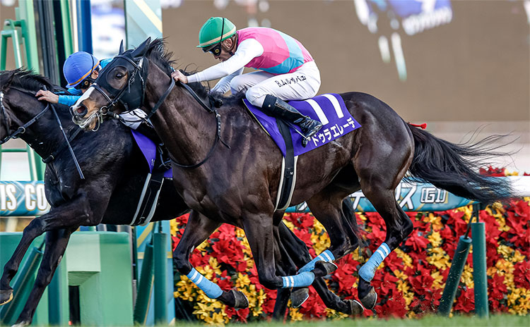 HOPEFUL STAKES Past Winners: List of Previous Hopeful Stakes (G1) Winners