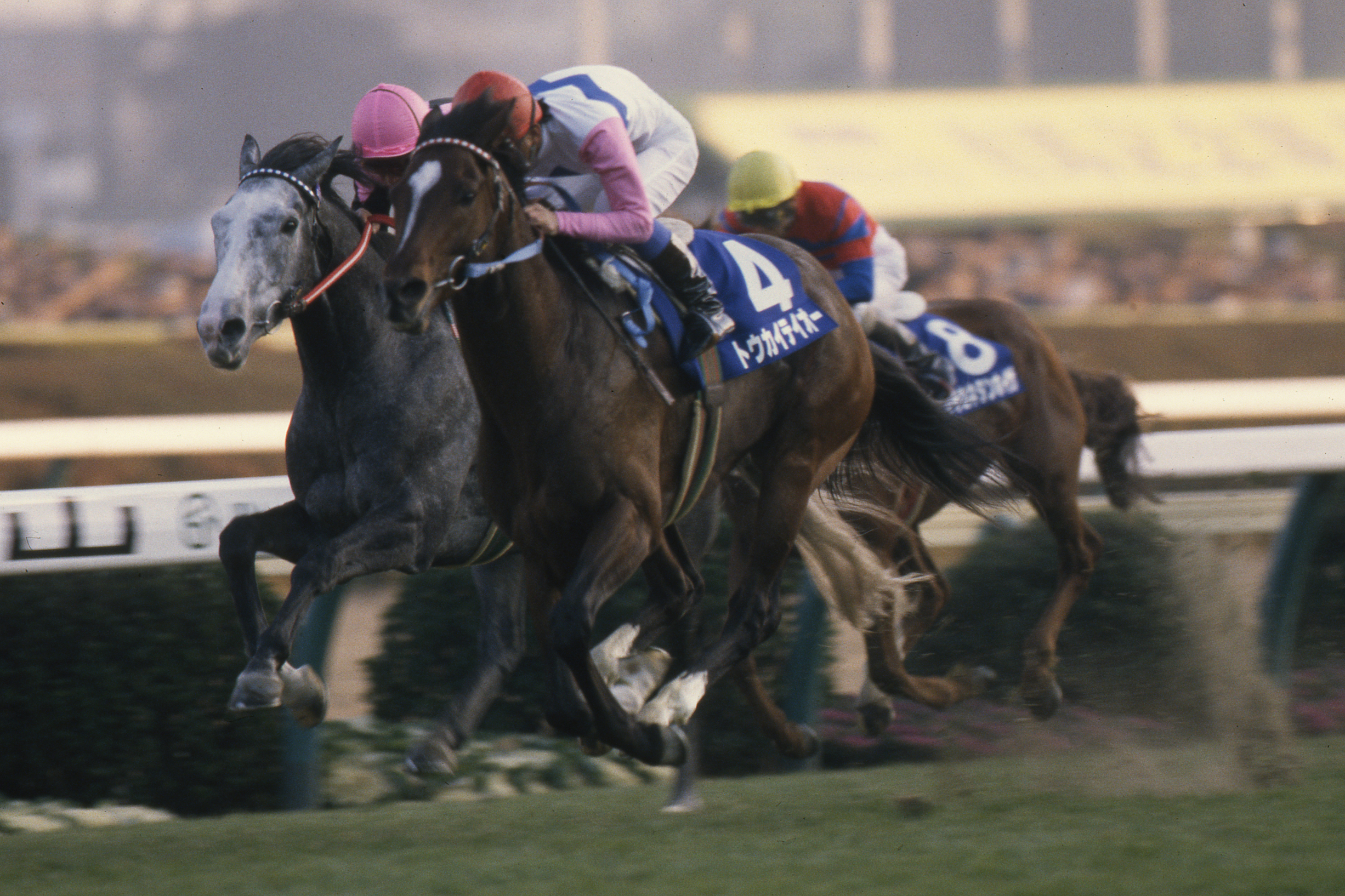 Tokai Teio at the 1993 Arima Kinen