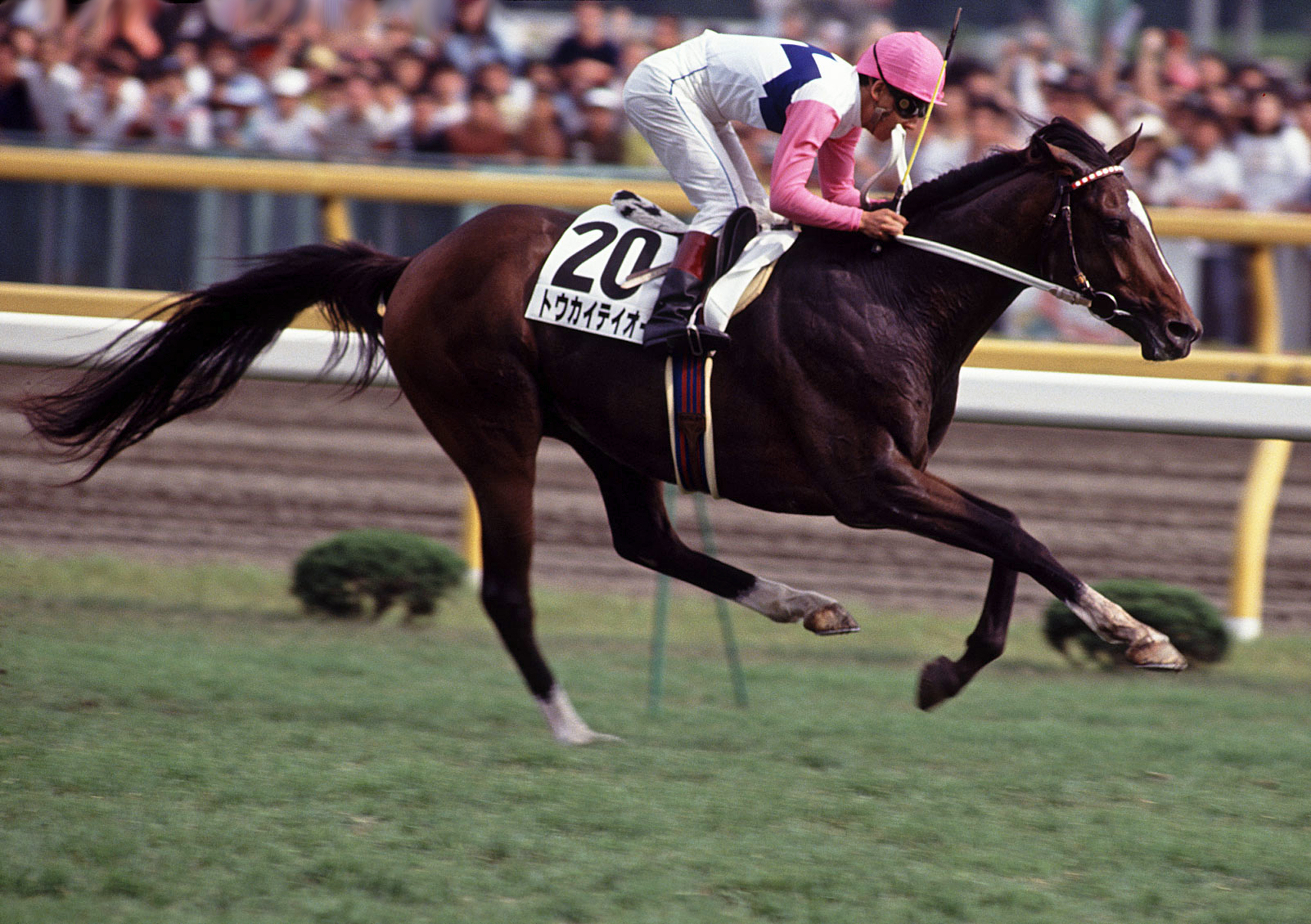Tokai Teio at the 1991 Japanese Derby
