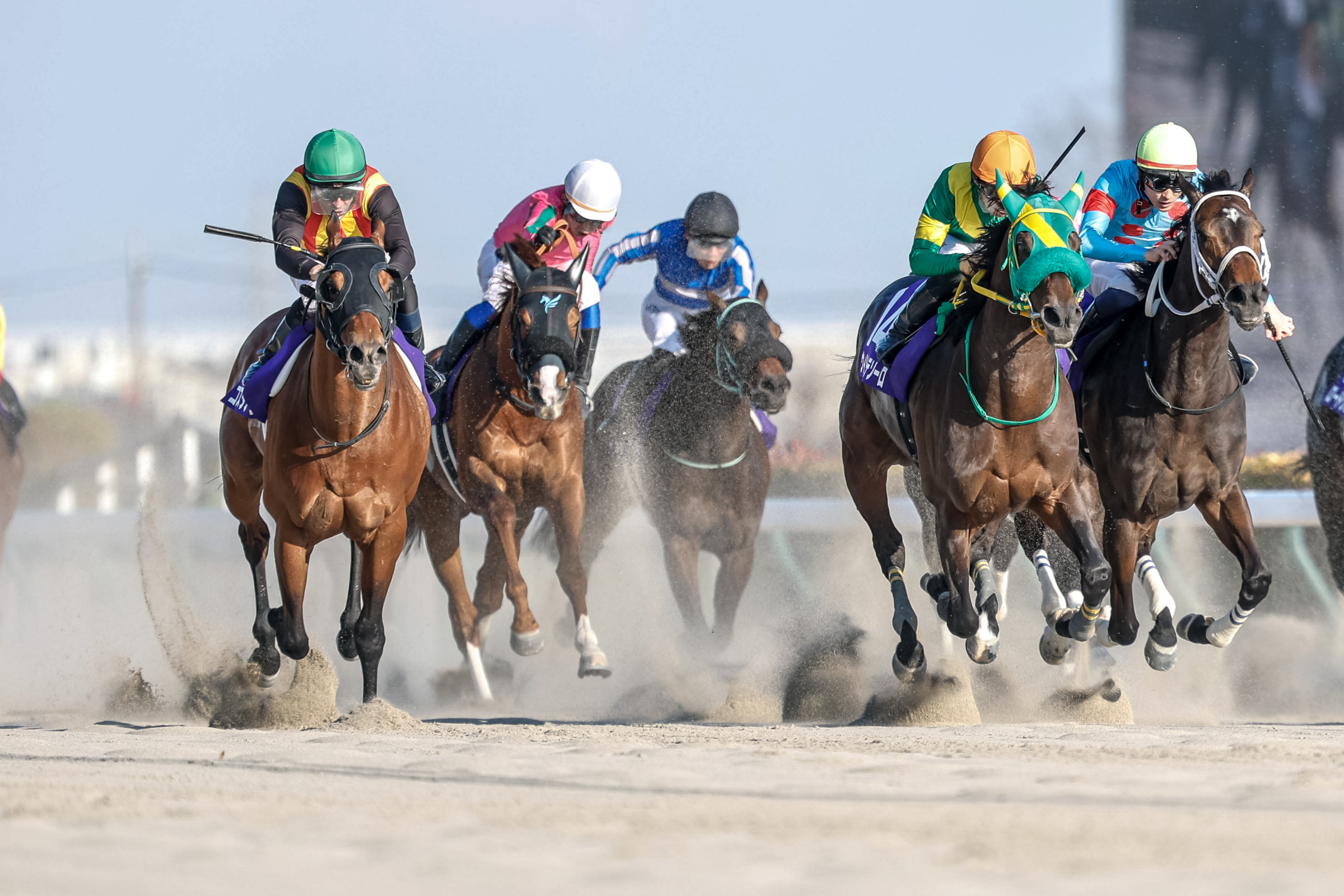 FEBRUARY STAKES Past Winners: List of Previous February Stakes (G1) Winners