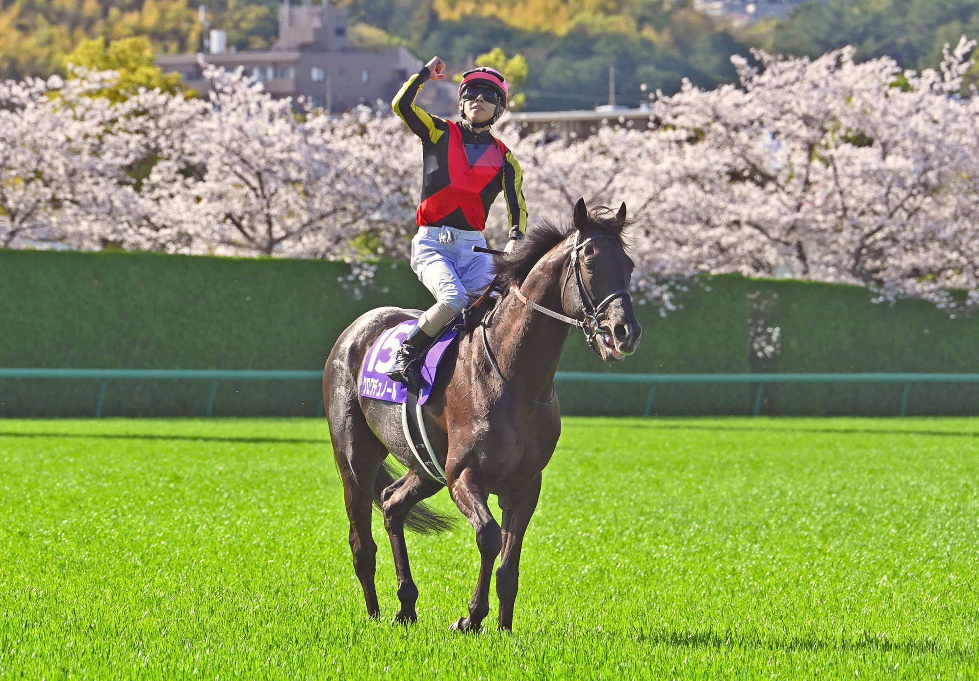 2026 Japanese G1 Races Schedule & Results