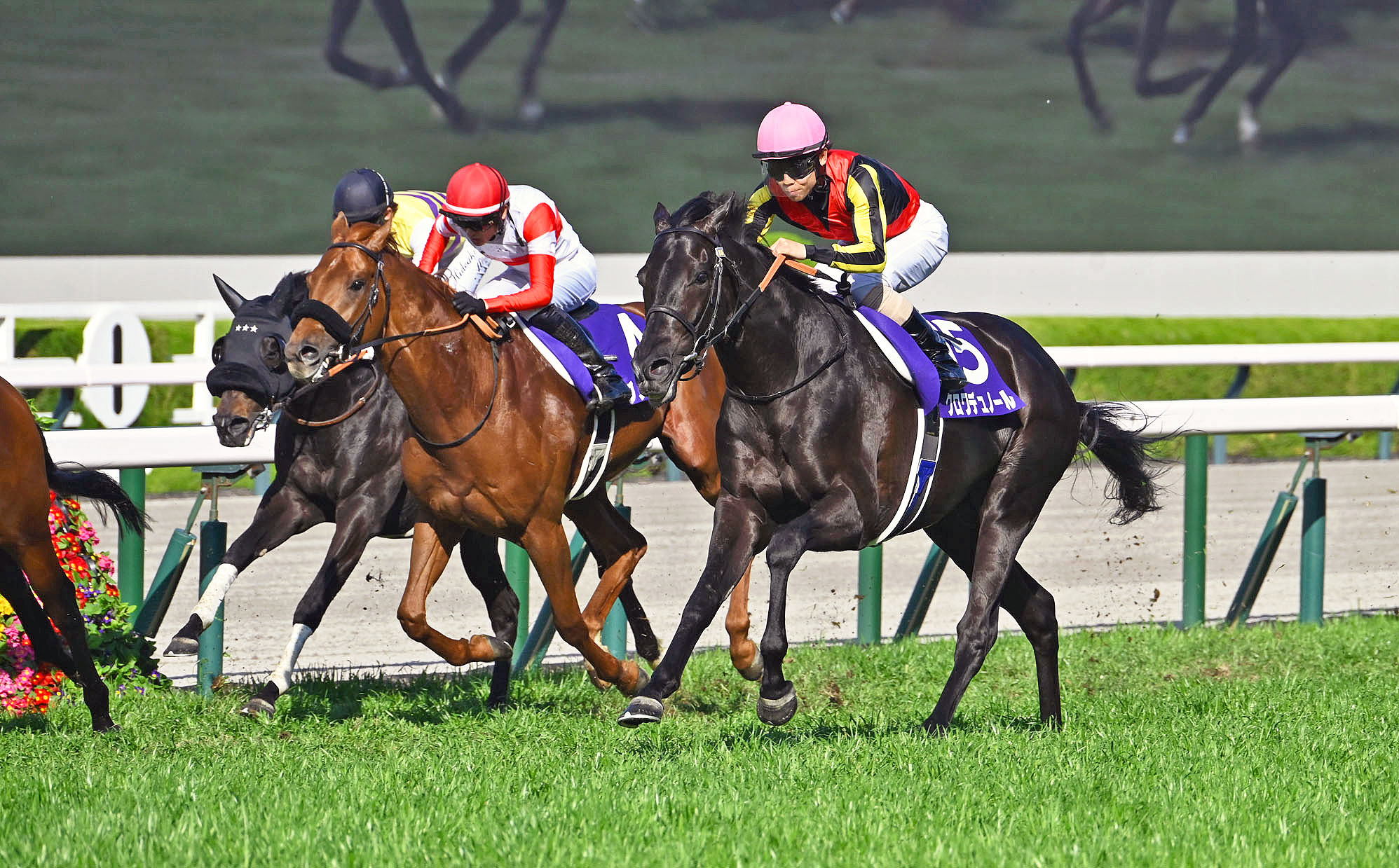 OSAKA HAI Past Winners: List of Previous Osaka Hai (G1) Winners