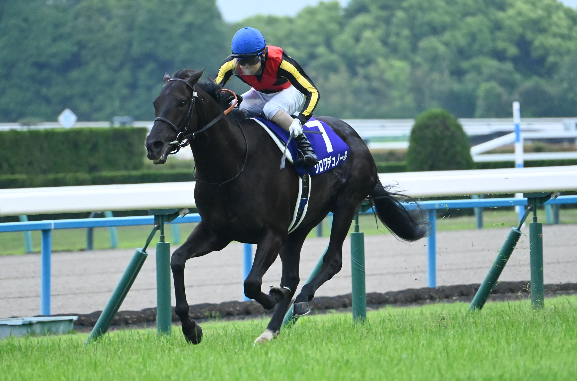 TENNO SHO(SPRING) Past Winners: List of Previous Tenno Sho (Spring) (G1) Winners