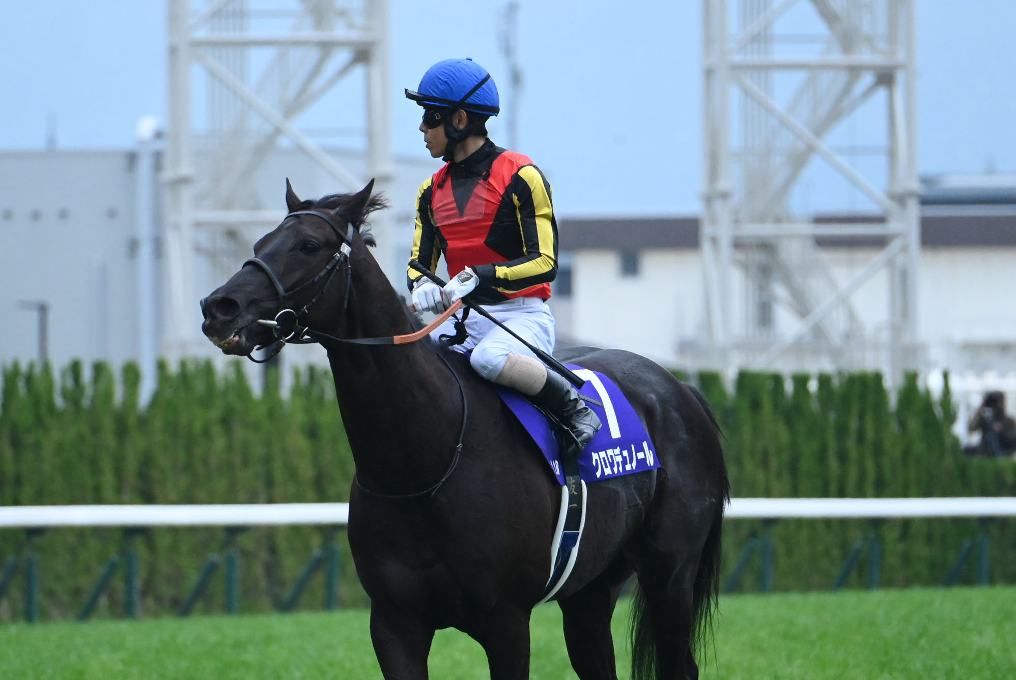 2026 Japanese G1 Races Schedule & Results