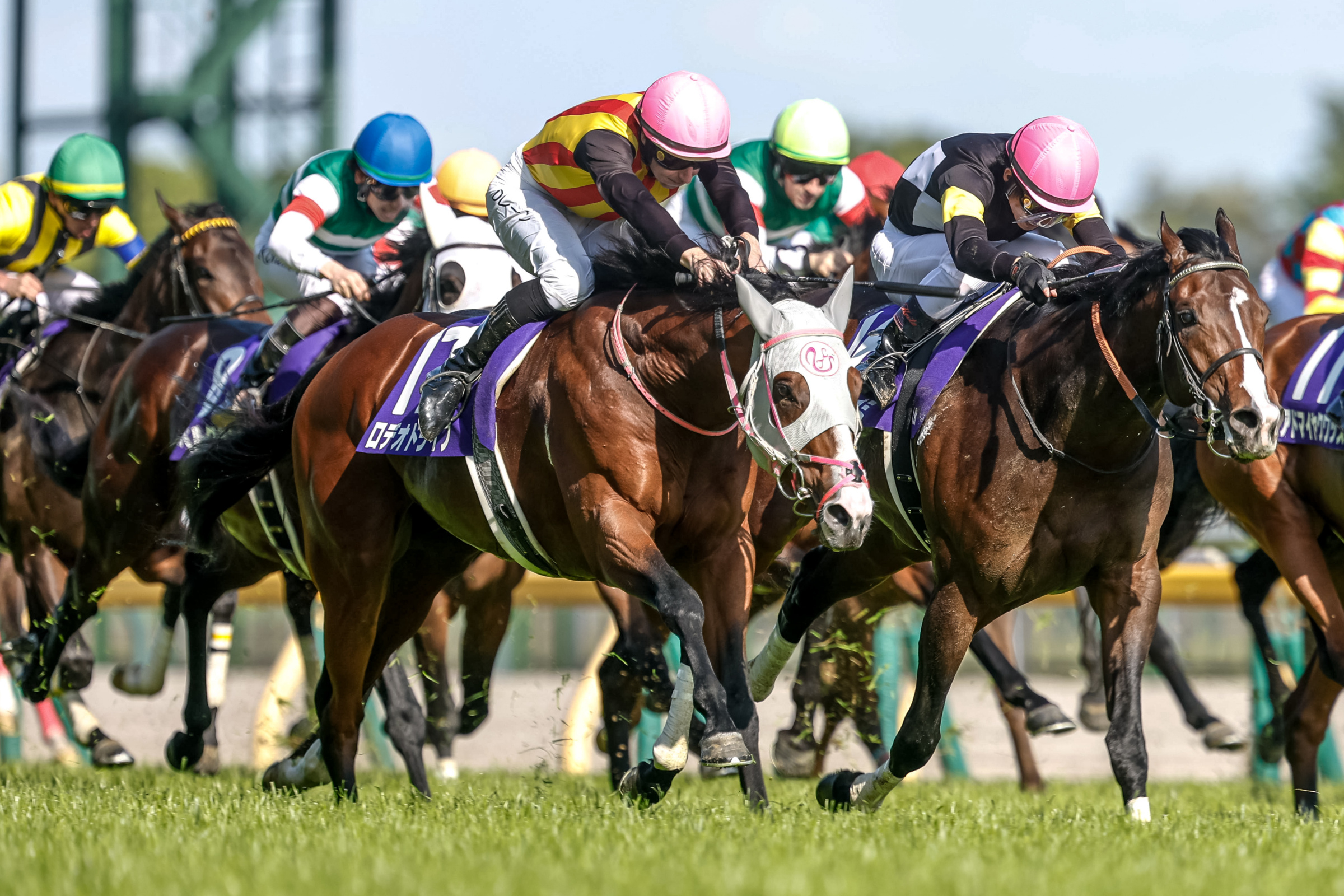 NHK MILE CUP Past Winners: List of Previous NHK Mile Cup (G1) Winners