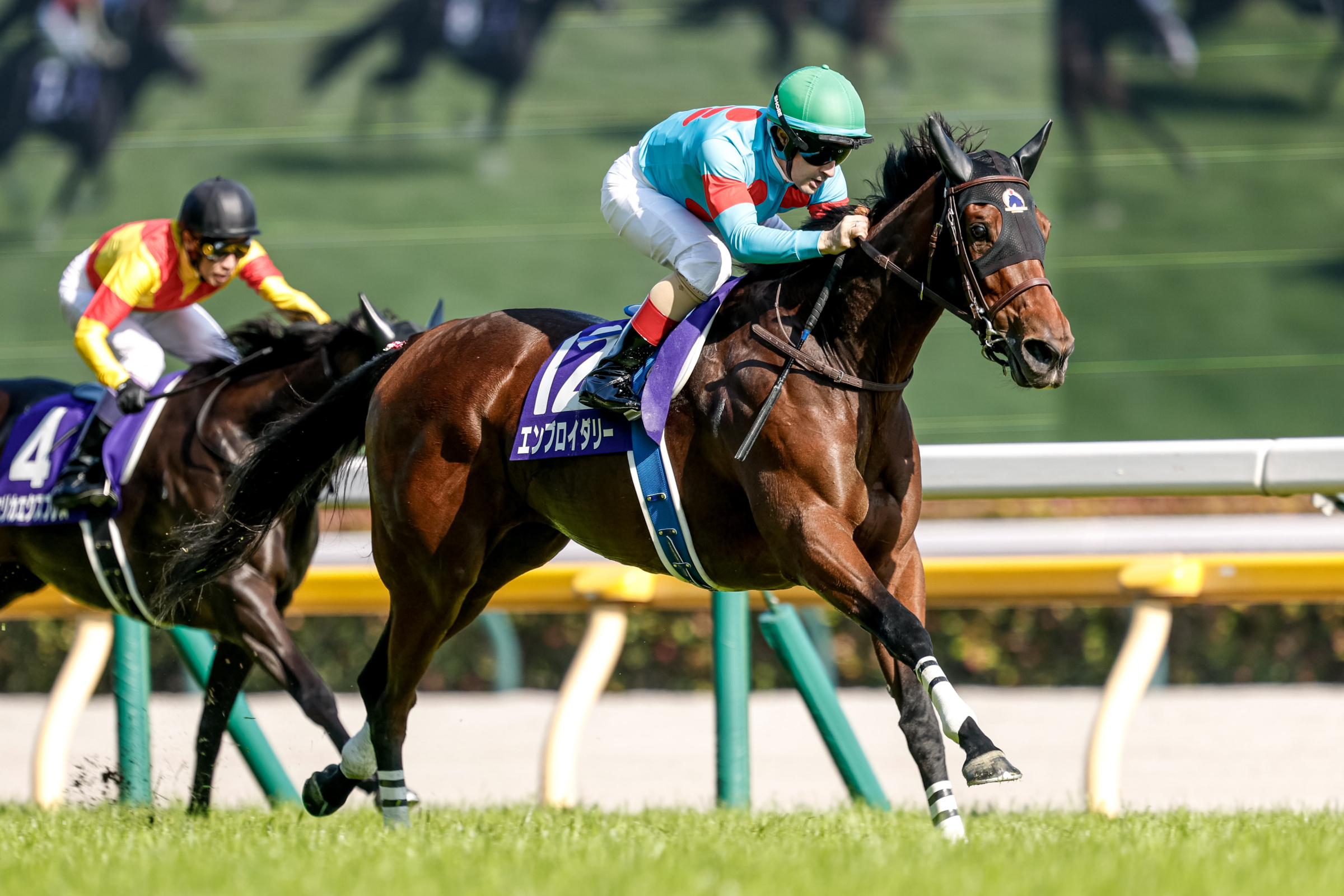 VICTORIA MILE Past Winners: List of Previous Victoria Mile (G1) Winners