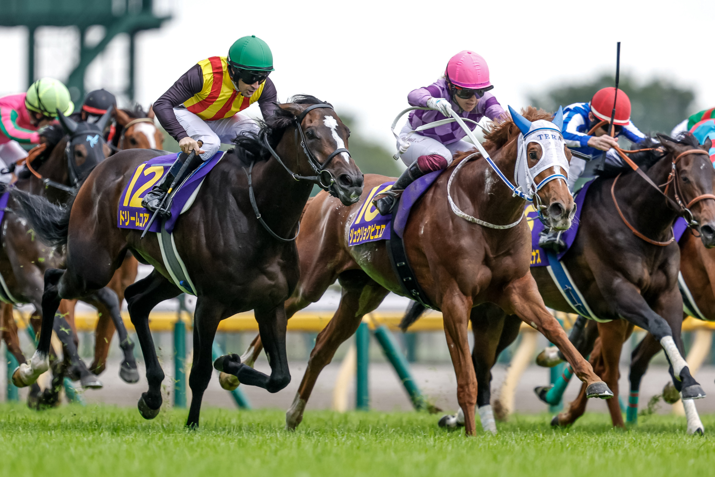 YUSHUN HIMBA (JAPANESE OAKS) Past Winners: List of Previous Yushun Himba (Japanese Oaks) (G1) Winners