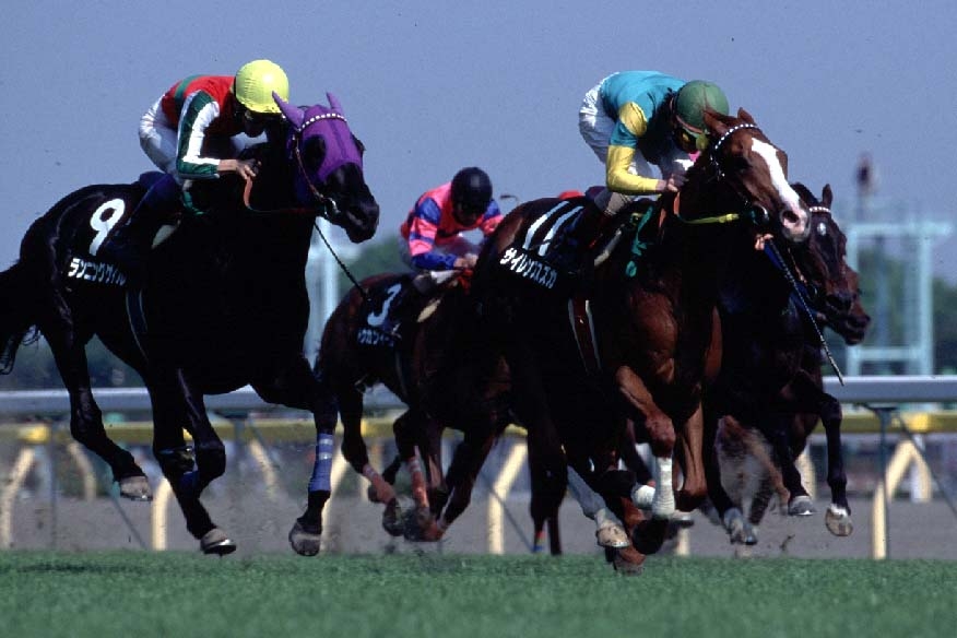 The Final Stretch of the 1997 Principal Stakes