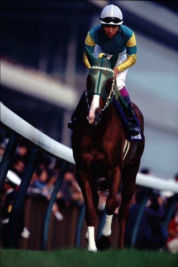 Silence Suzuka warming up before the 1998 Tenno Sho (Autumn)