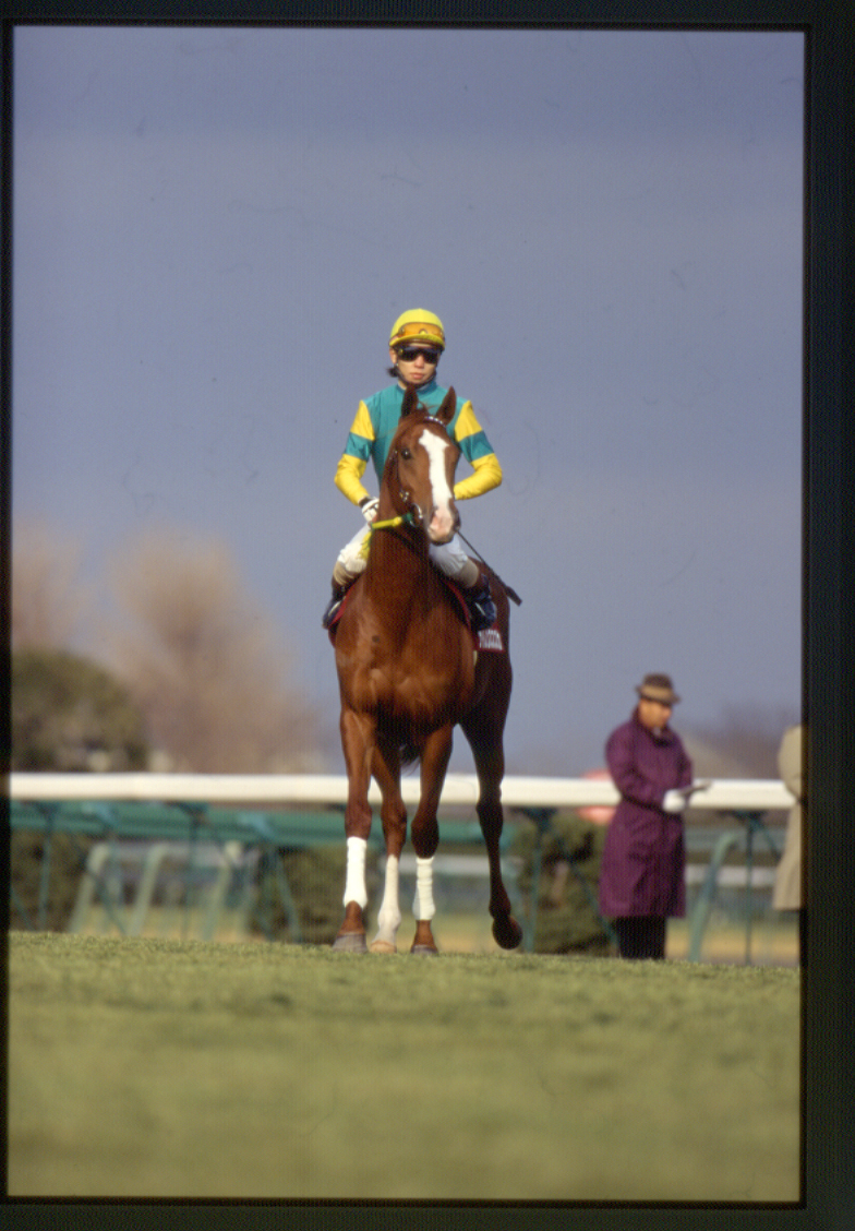 Silence Suzuka at the 1997 Yayoi Sho