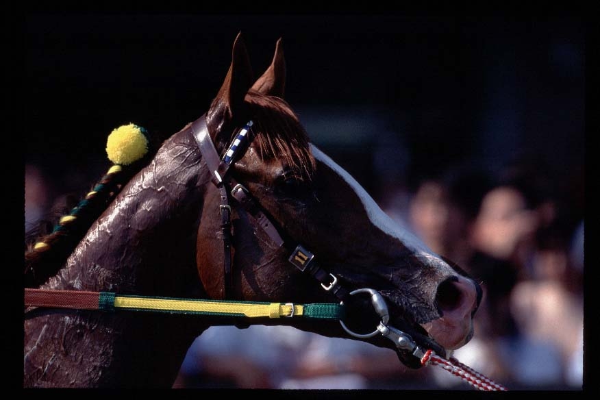 1997 Principal Stakes
