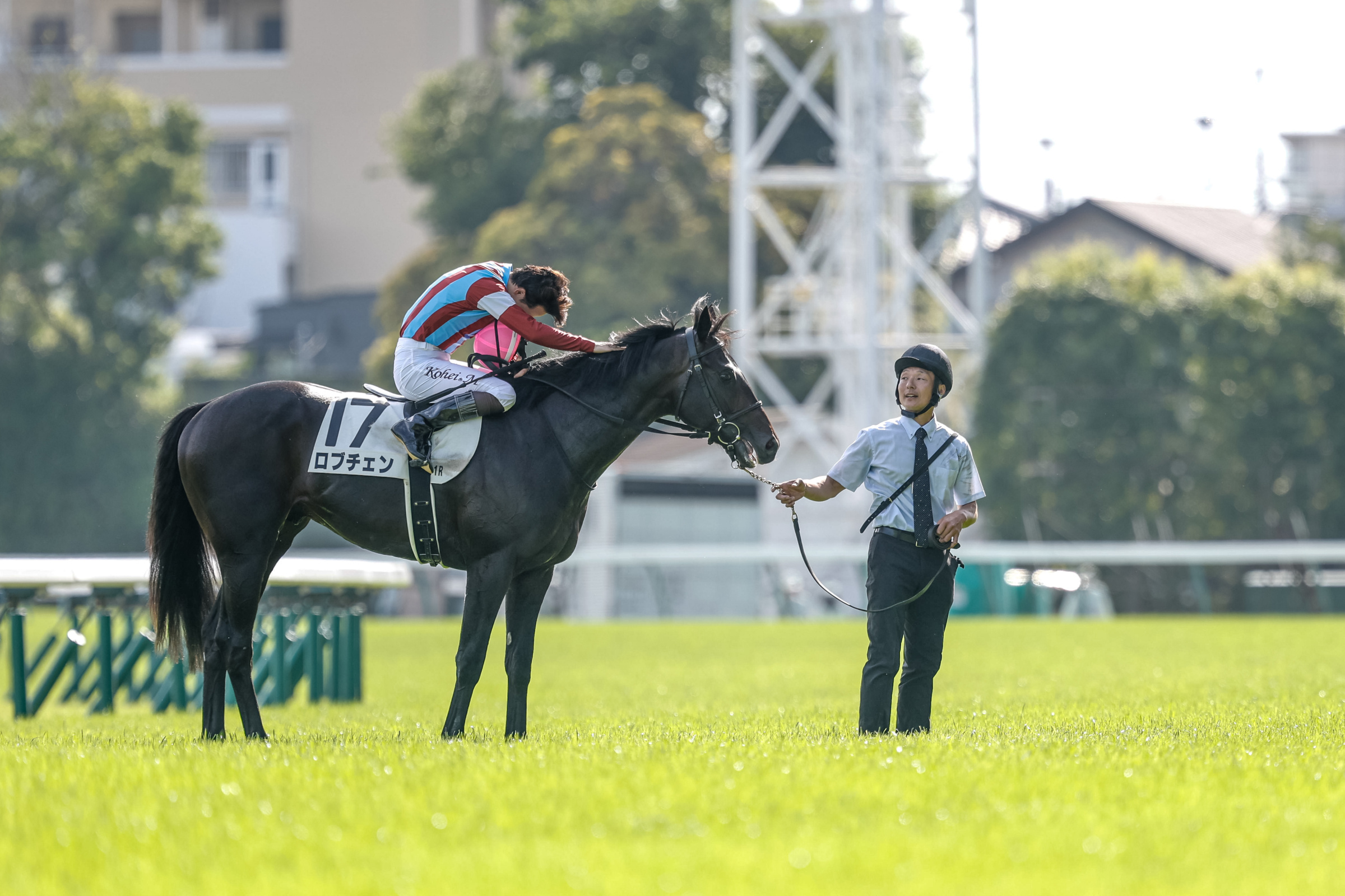 2026 Japanese G1 Races Schedule & Results