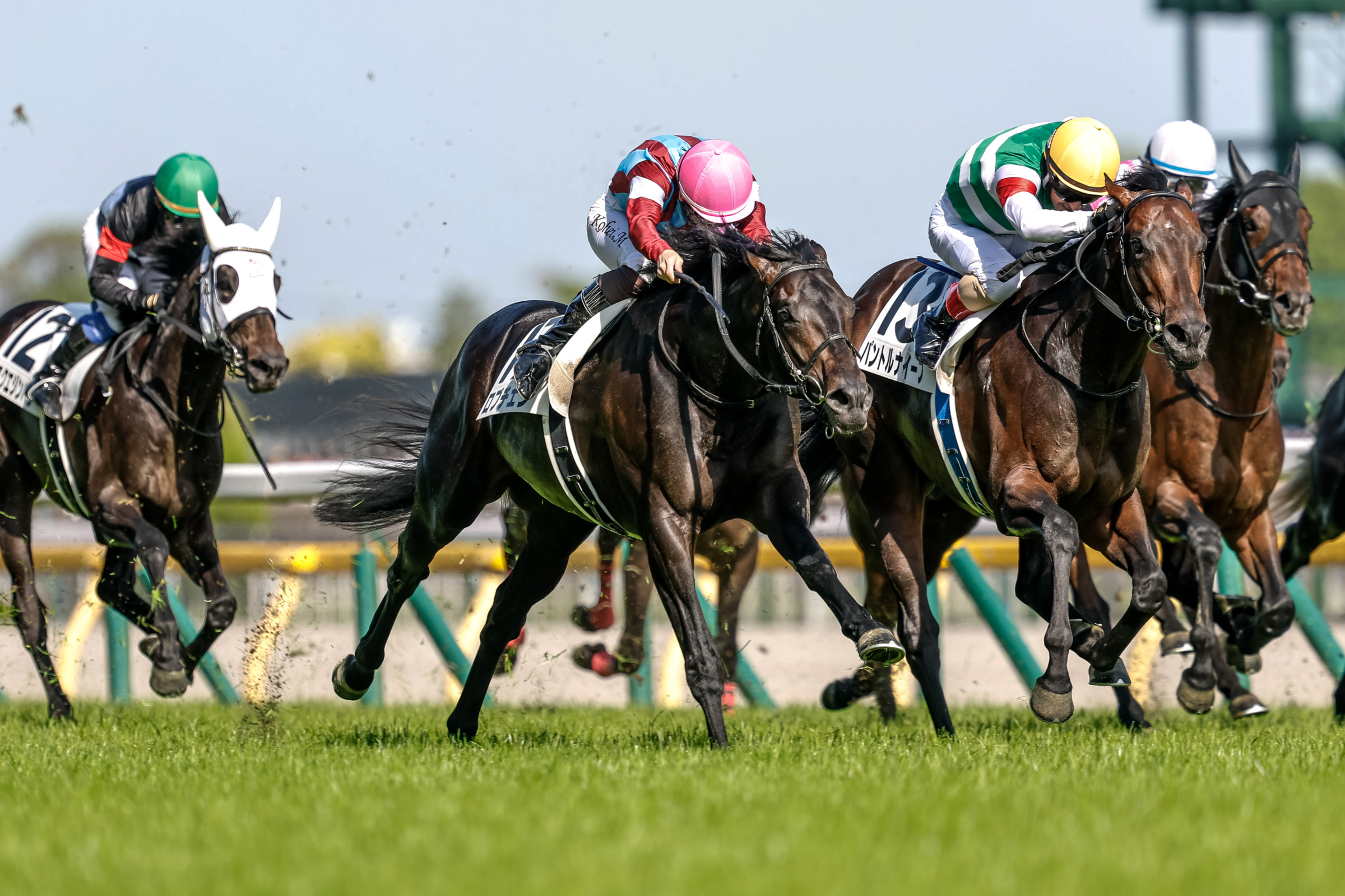 TOKYO YUSHUN (JAPANESE DERBY) Past Winners: List of Previous Tokyo Yushun (Japanese Derby) (G1) Winners