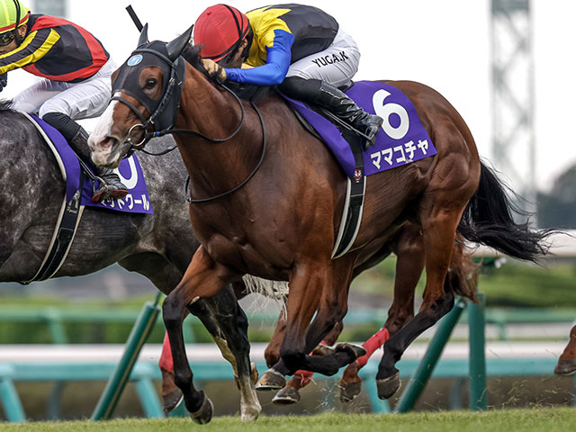 Mama Cocha wins the Sprinters Stakes 2023. (Photo: netkeiba)