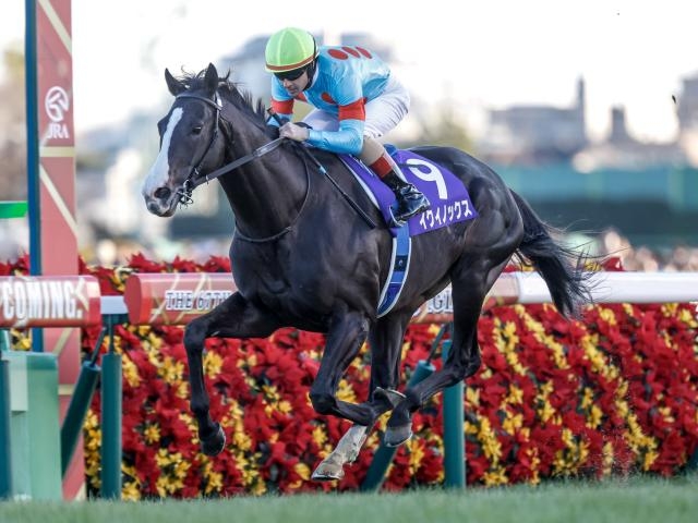 ARIMA KINEN (THE GRAND PRIX) 2023: Latest News, Entries, Race Overview, Schedule, Racecourse Feature, Past Winners, Results, Information.