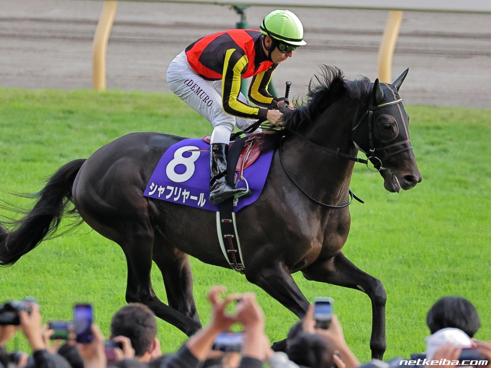 Shahryar (2022 G1 Tenno Sho (Autumn), Tokyo Racecourse)